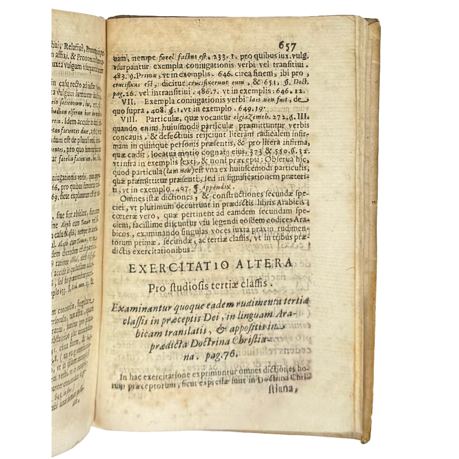 Arabicae linguae novae