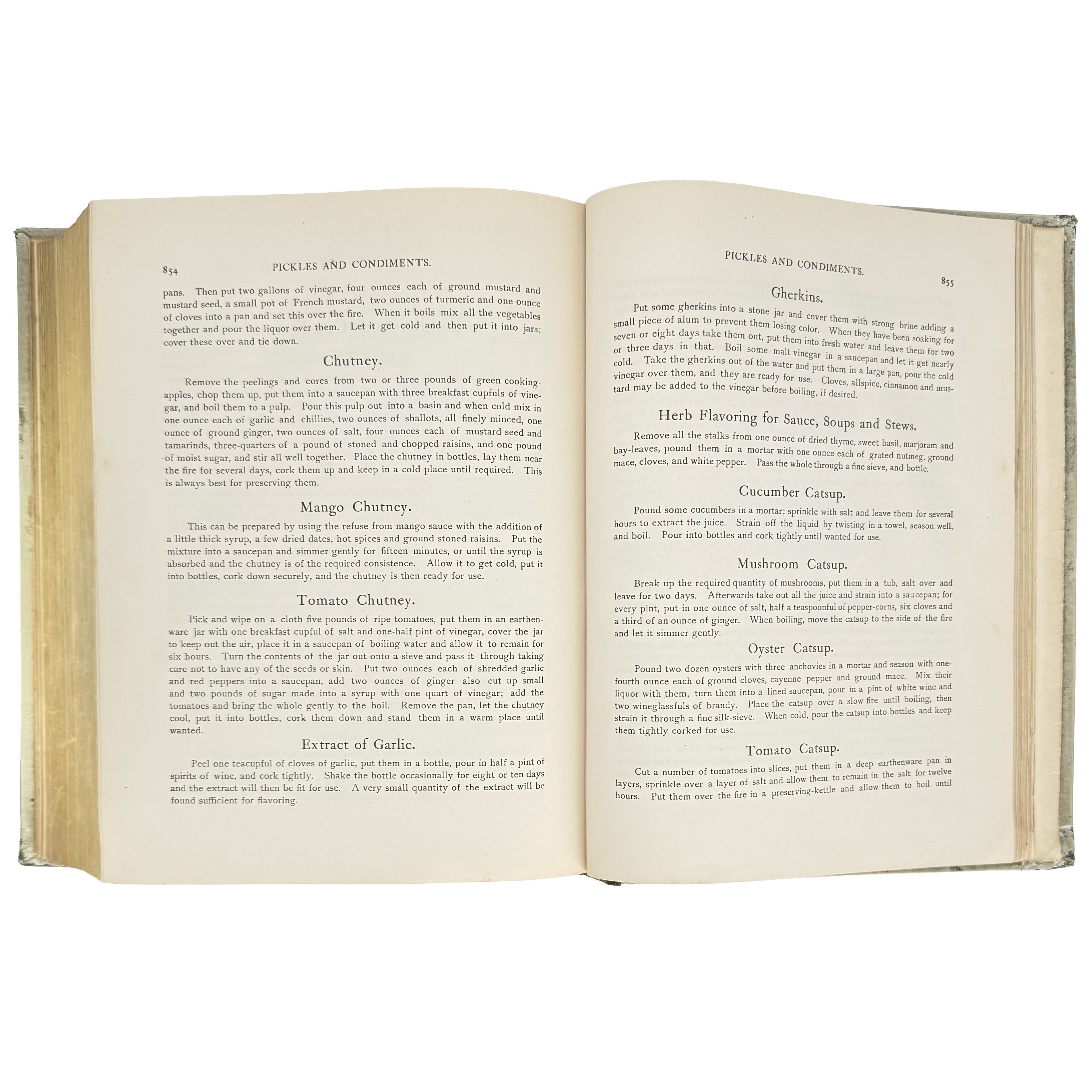 The cook book by "Oscar" of the Waldorf. by Tschirky, Oscar: a scarce illustrative detail of the 1896 gastronomy & pleasures printed work