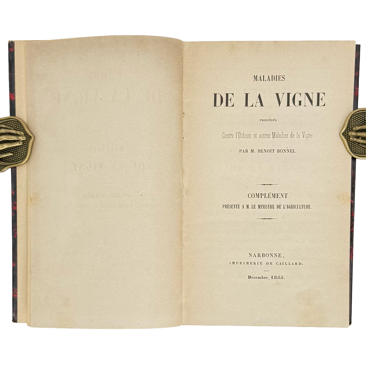 Maladies de la vigne by Bonnel, Bennoit: a scarce visual specimen of the 1855 wine & viticulture work