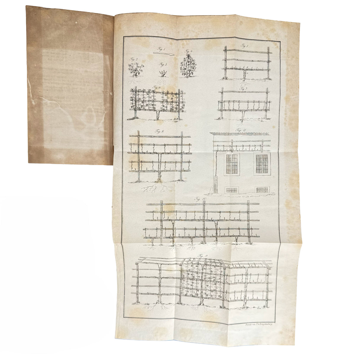 Die Verbesserung des Weinbaues durch praktische Anweisung den Rießling ohne Pfähle und Latten by Bronner, Johann Philipp: an exceptional example from the 1830 wine & viticulture copy