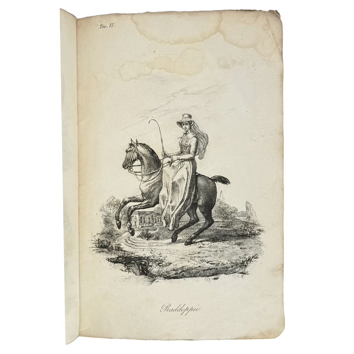 Breve esposizione di alcuni precetti sull'arte dell'equitazione da proporsi alle donne by F., L.: a carefully chosen vignette of the 1827 illustrated science edition