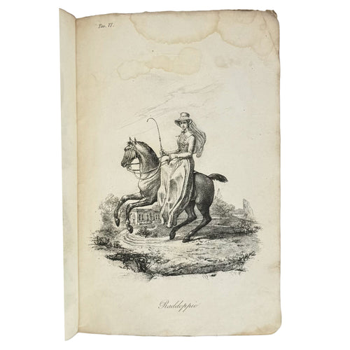 Breve esposizione di alcuni precetti sull'arte dell'equitazione da proporsi alle donne by F., L.: a carefully chosen vignette of the 1827 illustrated science edition