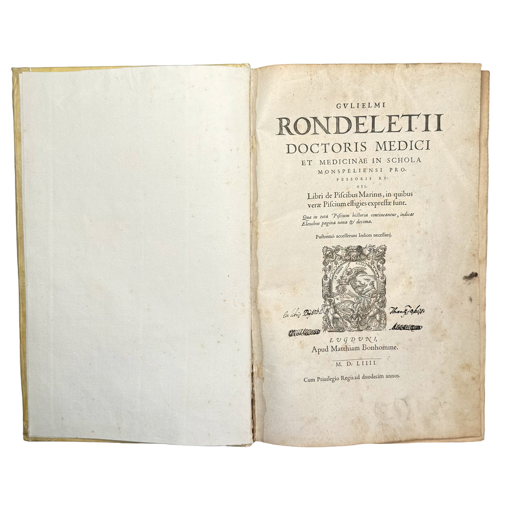Libri de piscibus marinis. (With:) Universae aquatilium Historiae pars altera by Rondelet, Guillaume: a carefully chosen vignette of the 1554-1555 early science & crafts printed work