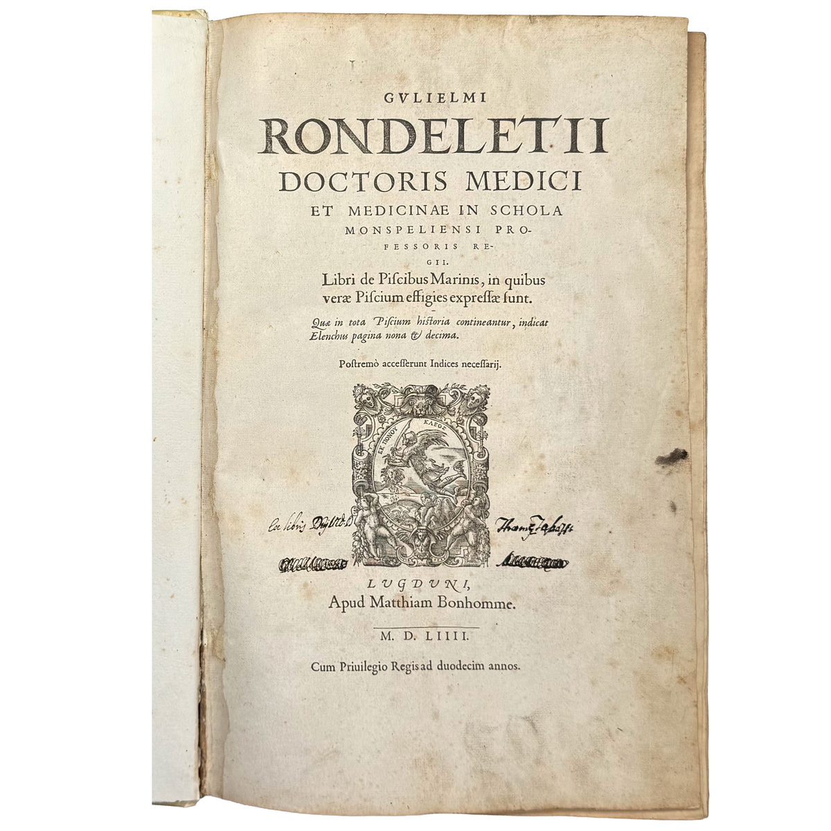 Libri de piscibus marinis. (With:) Universae aquatilium Historiae pars altera by Rondelet, Guillaume: a distinguished excerpt from the 1554 early science & crafts exemplar