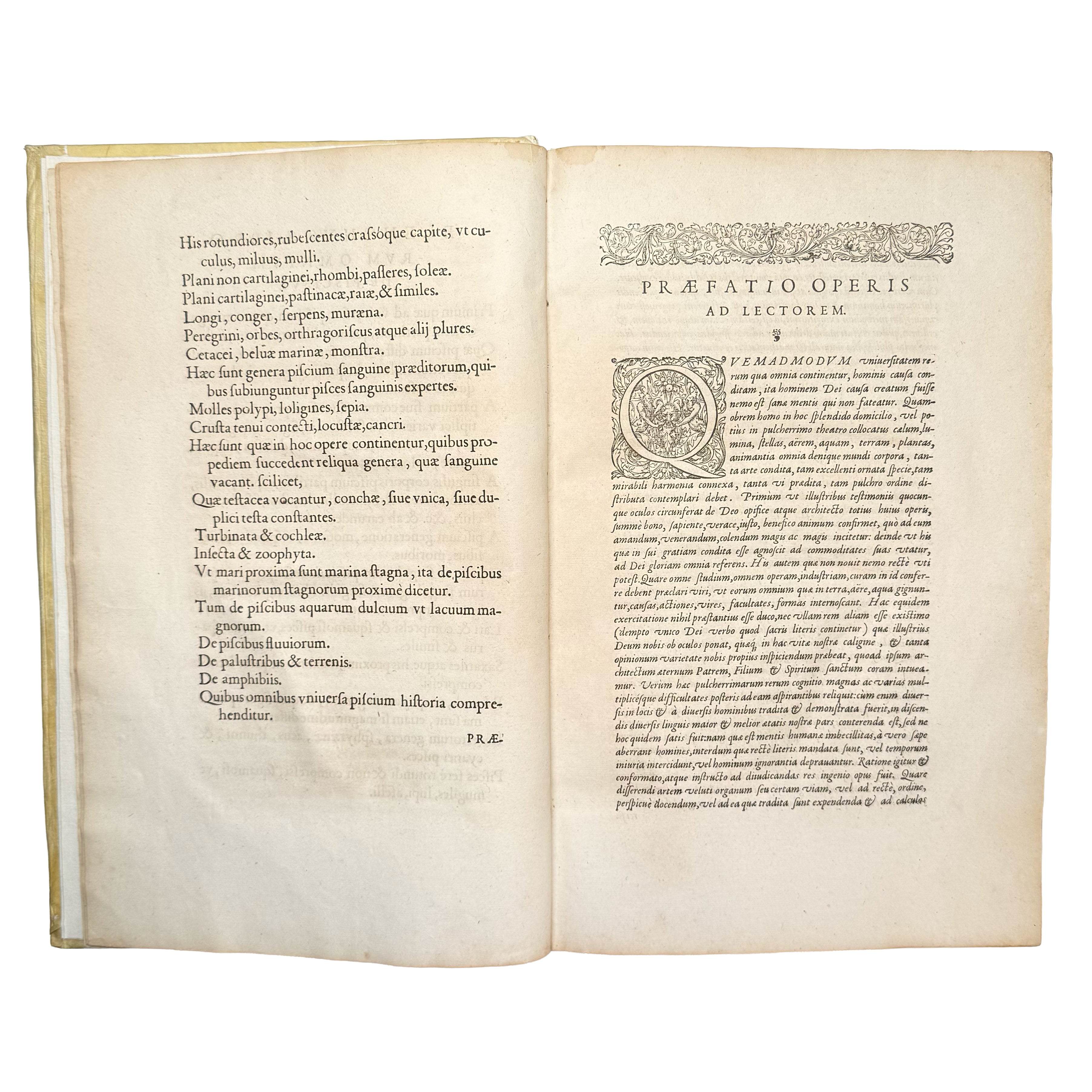 Libri de piscibus marinis. (With:) Universae aquatilium Historiae pars altera by Rondelet, Guillaume: a rare surviving image of the 1554-1555 early science & crafts exemplar