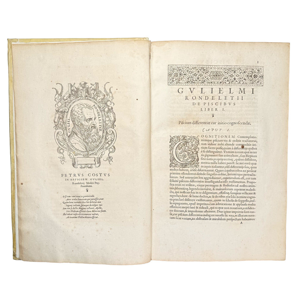 Libri de piscibus marinis. (With:) Universae aquatilium Historiae pars altera by Rondelet, Guillaume: a delicate visual nuance of the 1554-1555 early science & crafts edition