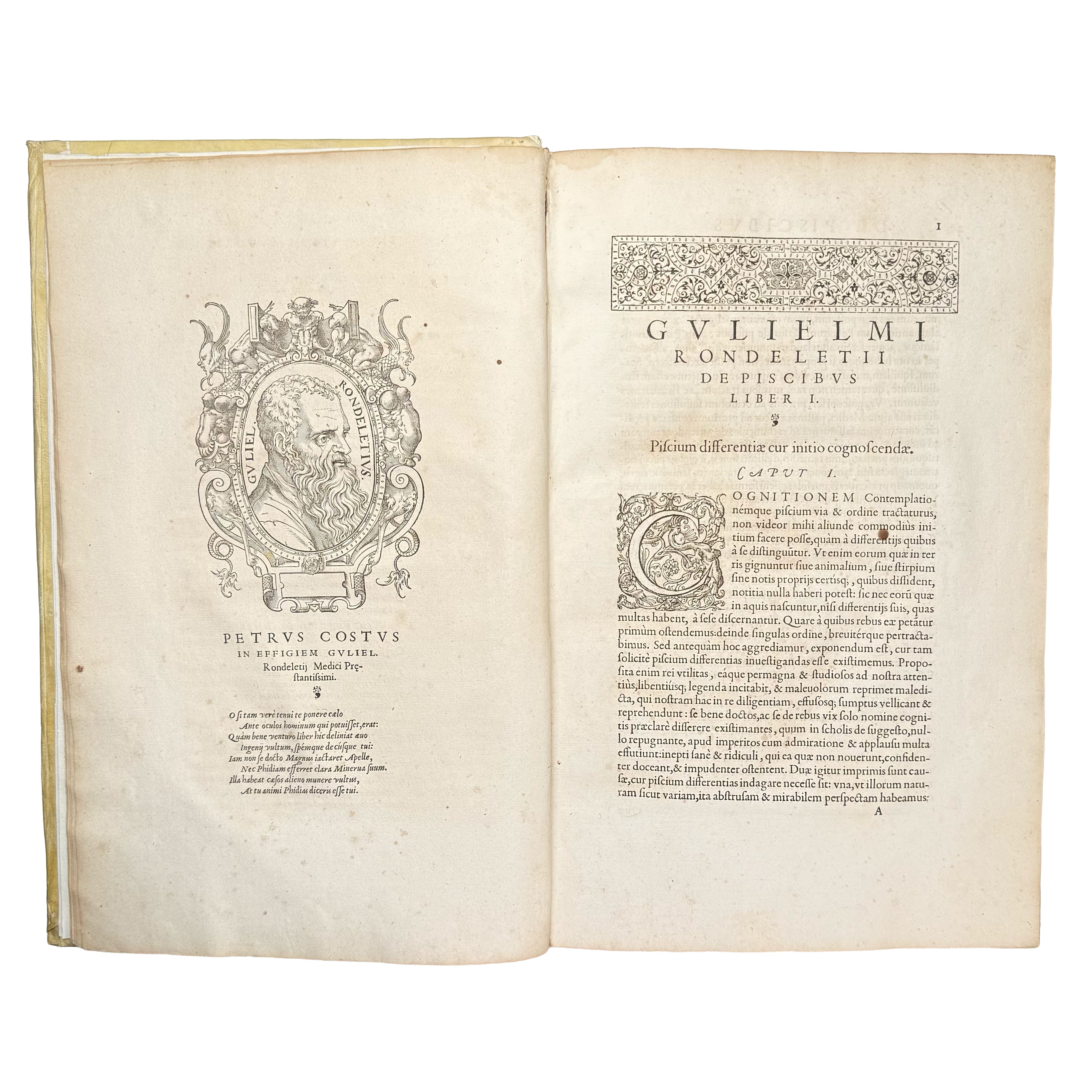 Libri de piscibus marinis. (With:) Universae aquatilium Historiae pars altera by Rondelet, Guillaume: a delicate visual nuance of the 1554-1555 early science & crafts edition