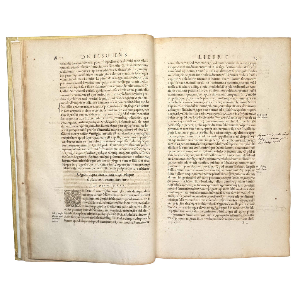 Libri de piscibus marinis. (With:) Universae aquatilium Historiae pars altera by Rondelet, Guillaume: a rare glimpse into the 1554-1555 early science & crafts treatise