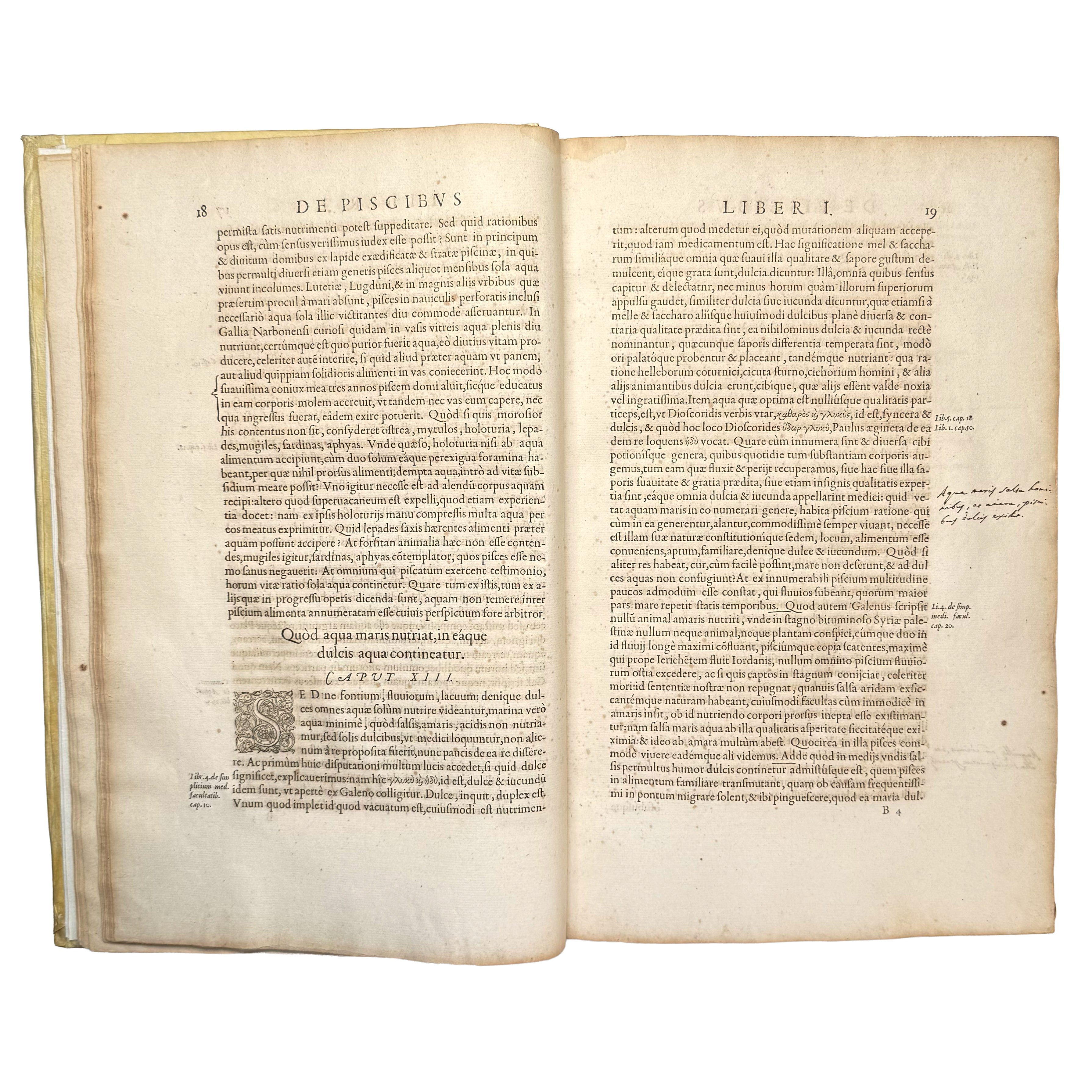 Libri de piscibus marinis. (With:) Universae aquatilium Historiae pars altera by Rondelet, Guillaume: a rare glimpse into the 1554-1555 early science & crafts treatise