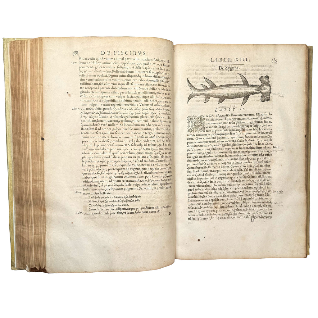 Libri de piscibus marinis. (With:) Universae aquatilium Historiae pars altera by Rondelet, Guillaume: a distinguished excerpt from the 1554-1555 early science & crafts treatise
