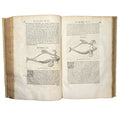 Libri de piscibus marinis. (With:) Universae aquatilium Historiae pars altera by Rondelet, Guillaume: a scarce visual specimen of the 1554-1555 early science & crafts publication