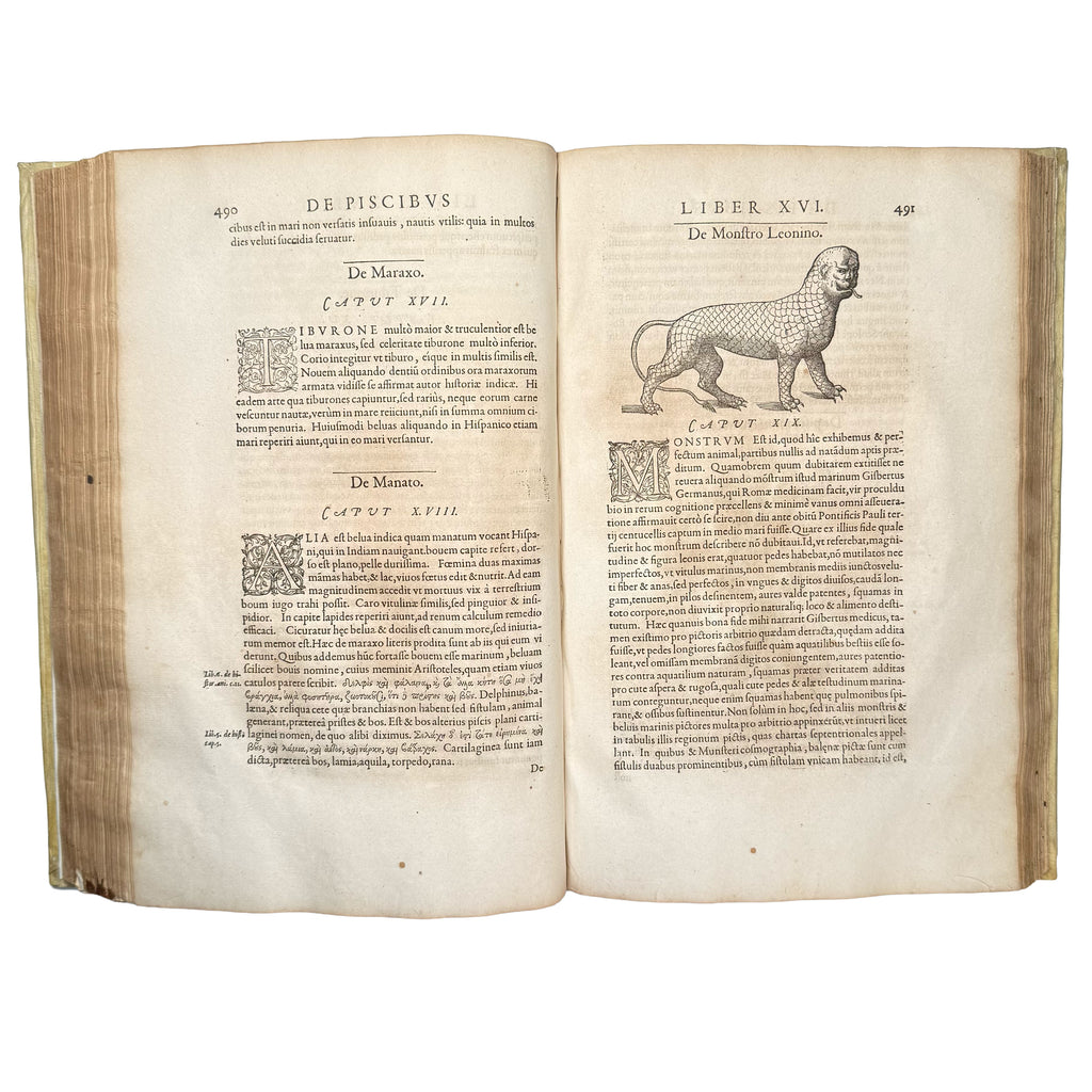 Libri de piscibus marinis. (With:) Universae aquatilium Historiae pars altera by Rondelet, Guillaume: a delicate visual nuance of the 1554-1555 early science & crafts volume