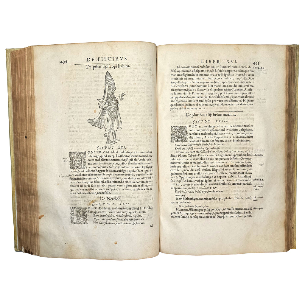 Libri de piscibus marinis. (With:) Universae aquatilium Historiae pars altera by Rondelet, Guillaume: a singularly preserved detail from the 1554-1555 early science & crafts work