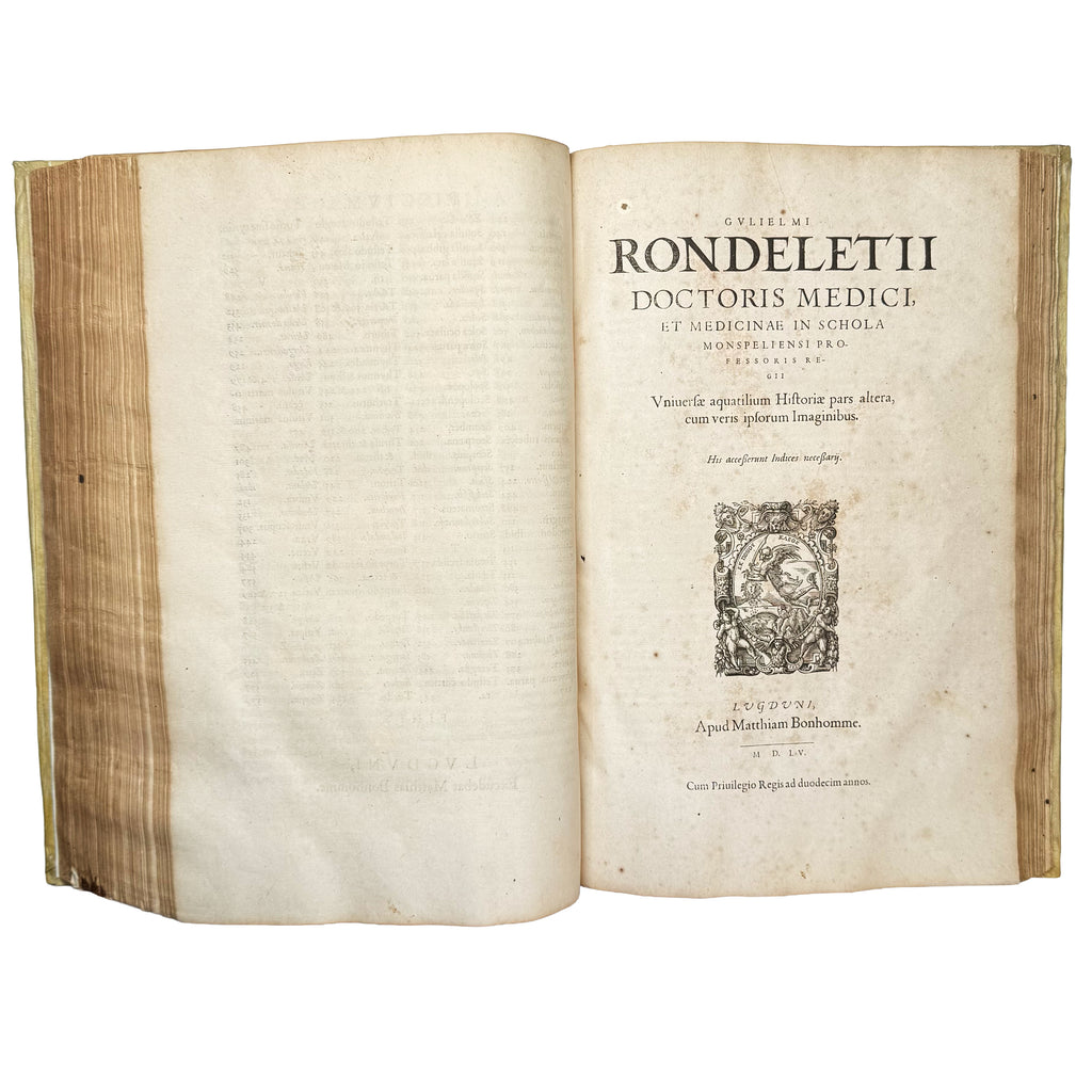 Libri de piscibus marinis. (With:) Universae aquatilium Historiae pars altera by Rondelet, Guillaume: a remarkable illustrative passage from the 1554-1555 early science & crafts copy