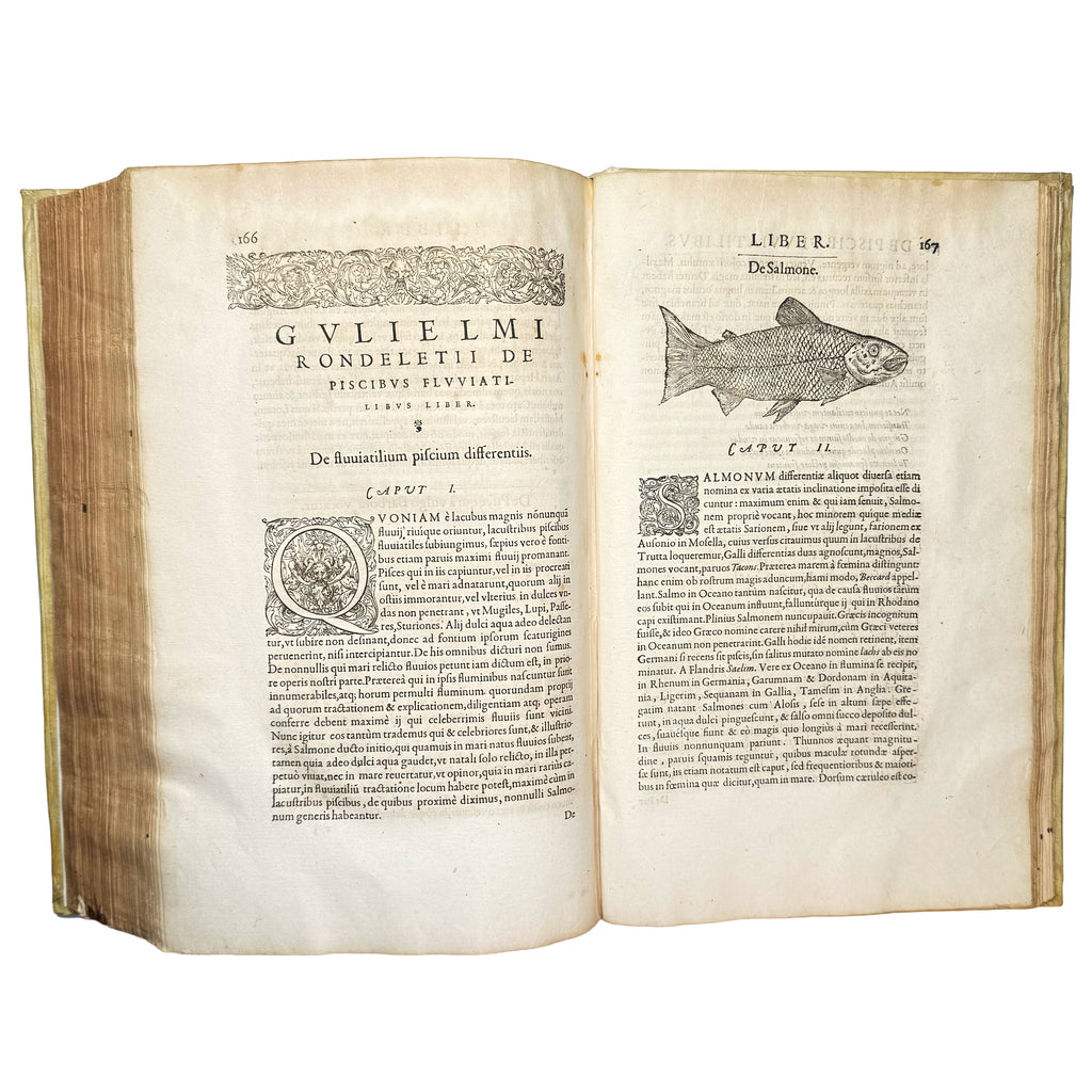 Libri de piscibus marinis. (With:) Universae aquatilium Historiae pars altera by Rondelet, Guillaume: an uncommon visual fragment of the 1554-1555 early science & crafts work