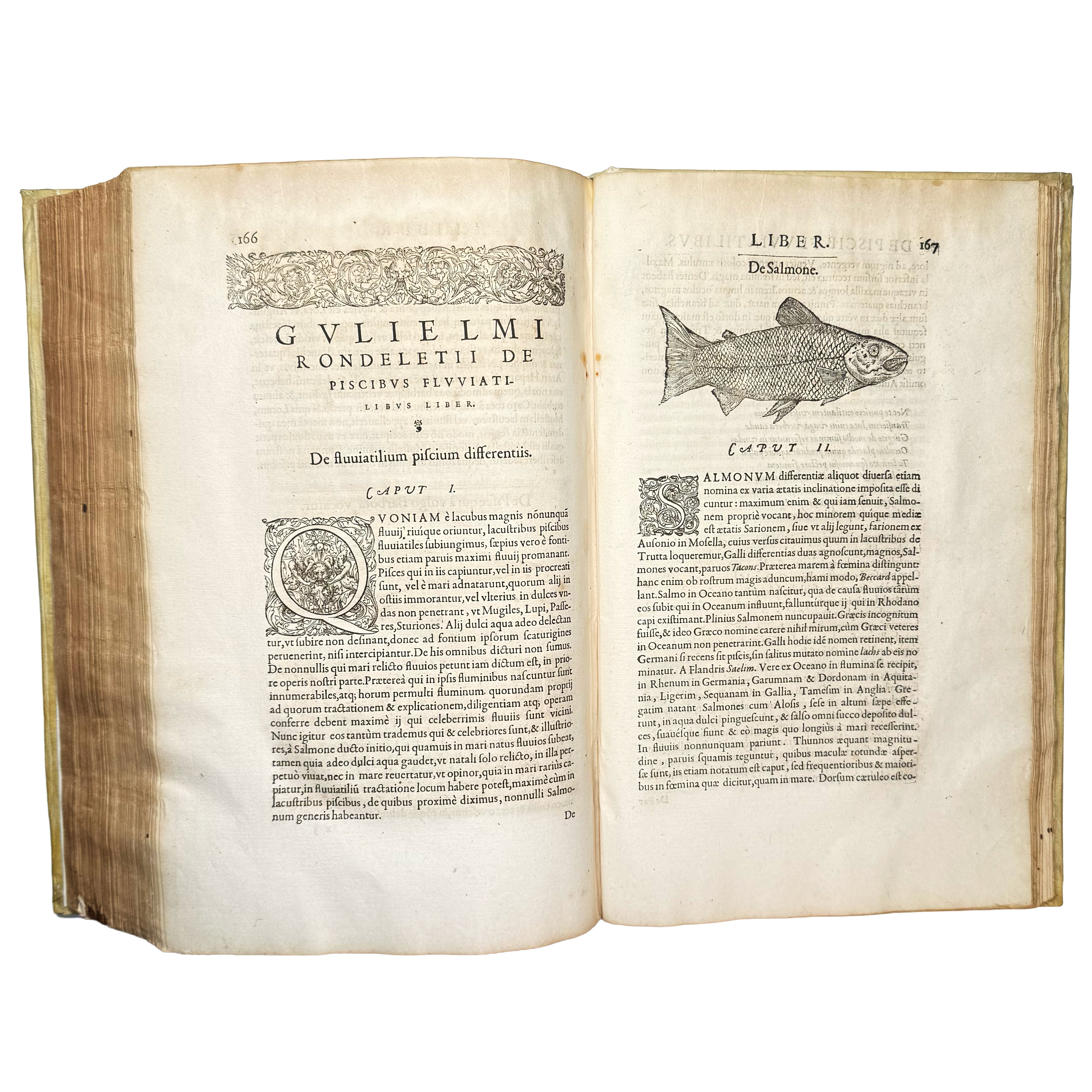 Libri de piscibus marinis. (With:) Universae aquatilium Historiae pars altera by Rondelet, Guillaume: an uncommon visual fragment of the 1554-1555 early science & crafts work