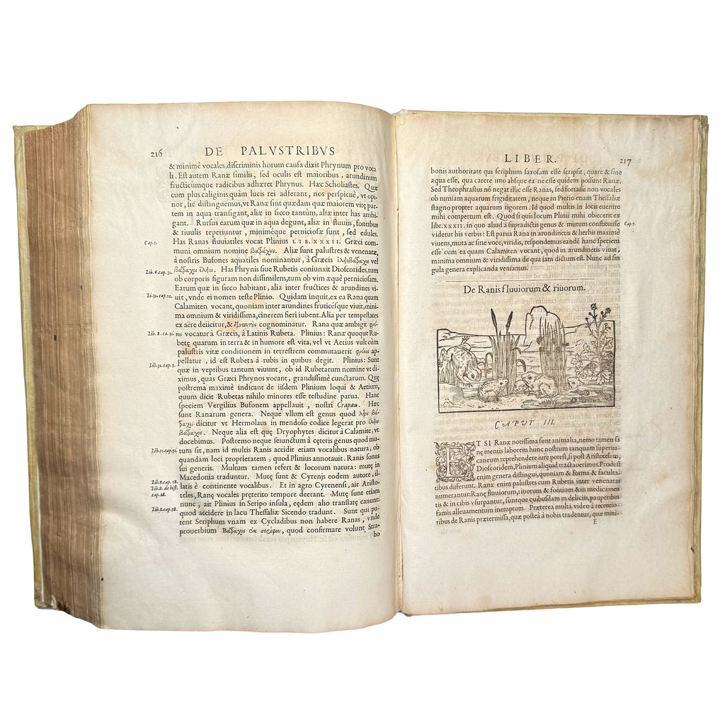 Libri de piscibus marinis. (With:) Universae aquatilium Historiae pars altera by Rondelet, Guillaume: a precious visual instance of the 1554-1555 early science & crafts text