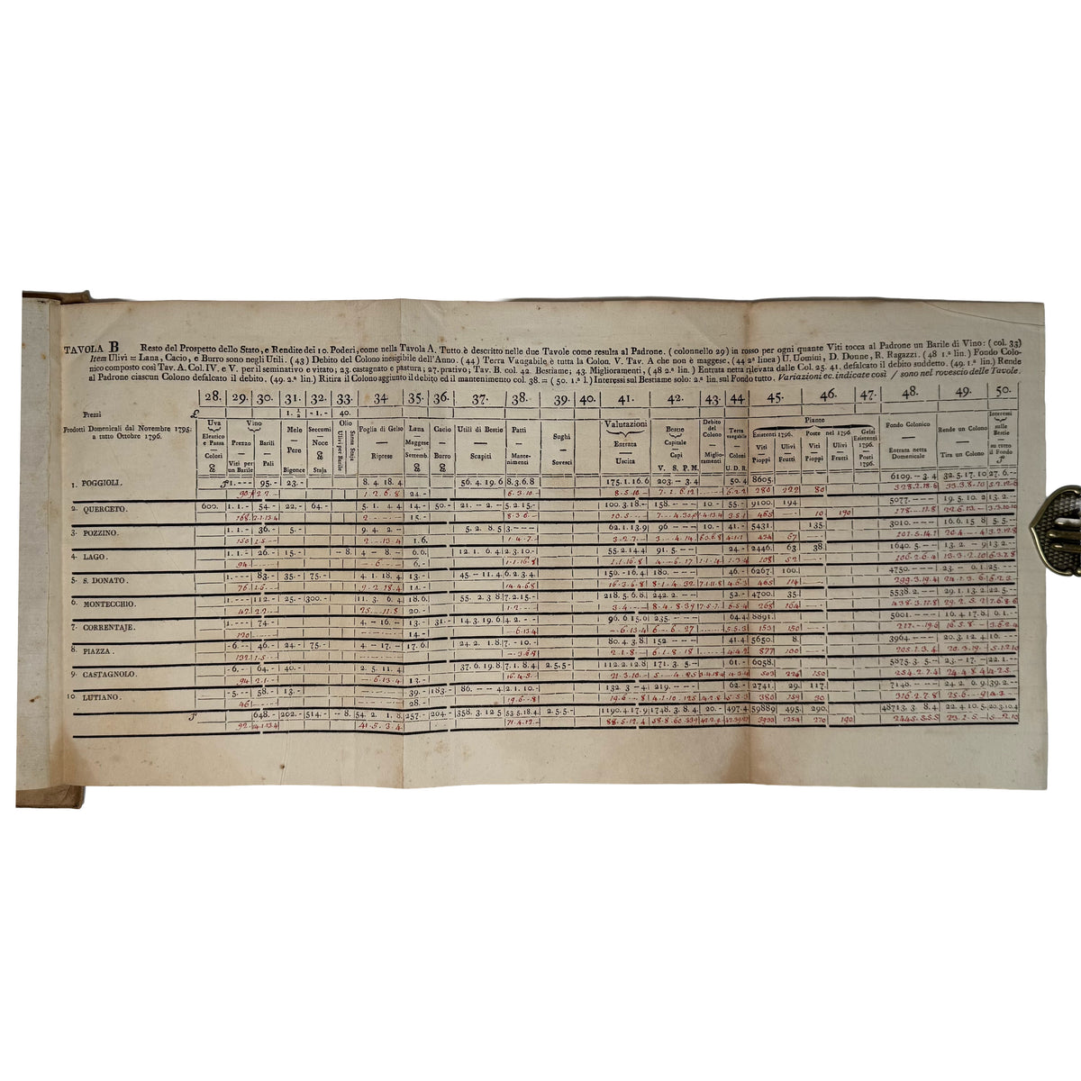 Saggio d'agricoltura pratica toscana by Biffi Tolomei, Matteo: a rare glimpse into the 1804 wine & viticulture piece