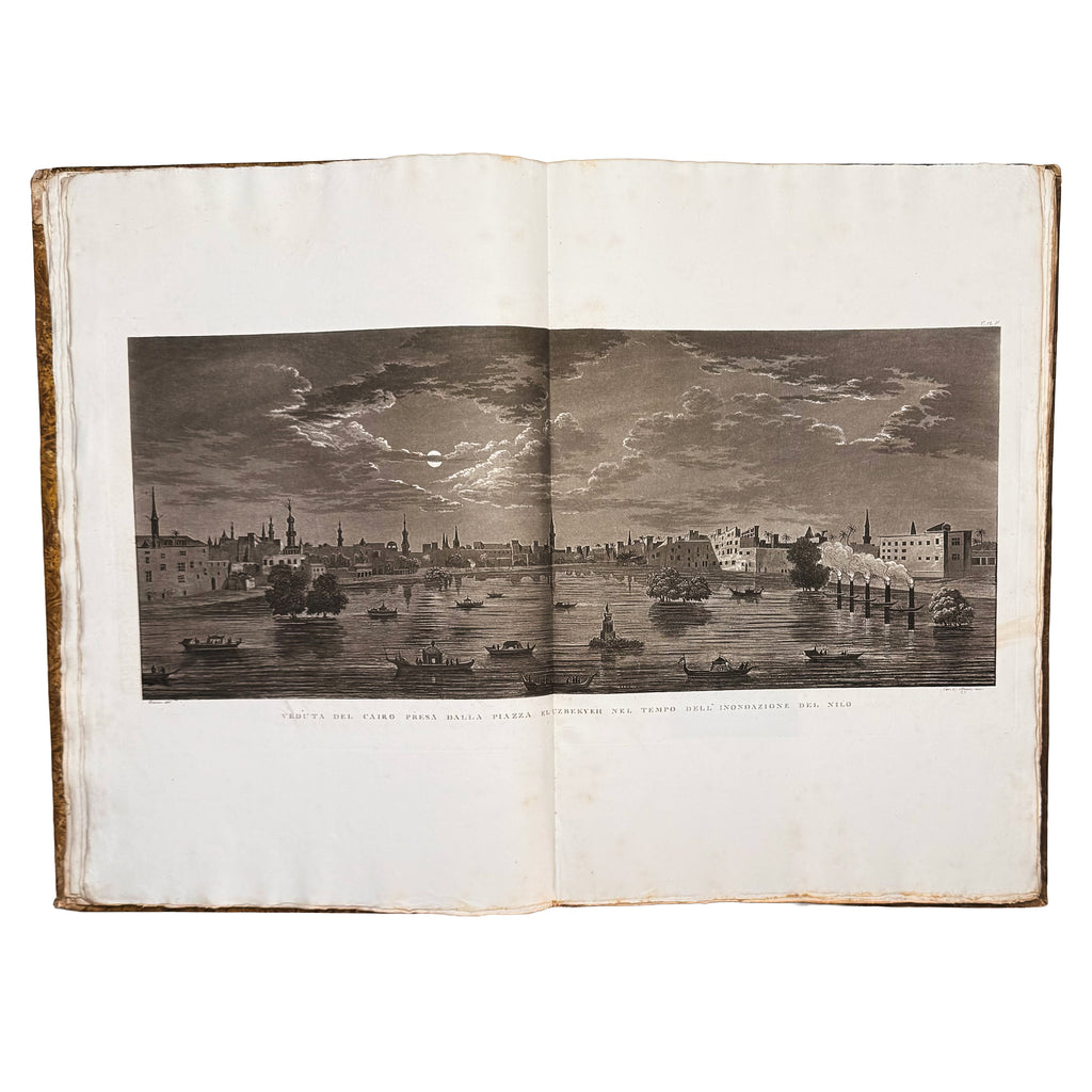 Atlante monumentale del Basso e dell'Alto Egitto by Segato, Girolamo; Valeriani, Domenico: a singularly preserved detail from the 1837 illustrated wonders edition