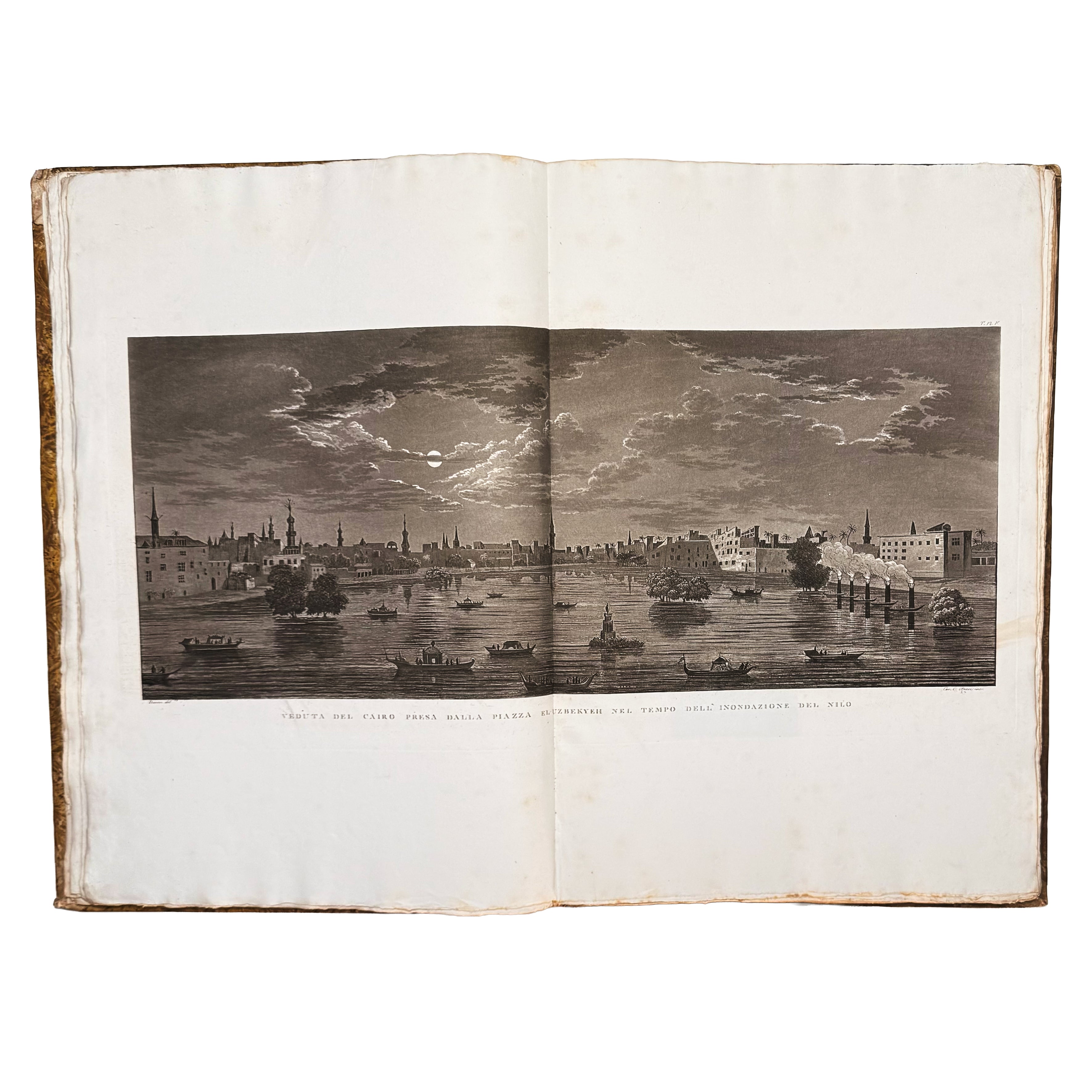 Atlante monumentale del Basso e dell'Alto Egitto by Segato, Girolamo; Valeriani, Domenico: a singularly preserved detail from the 1837 illustrated wonders edition