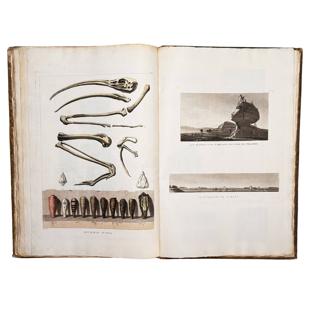 Atlante monumentale del Basso e dell'Alto Egitto by Segato, Girolamo; Valeriani, Domenico: a delicate visual nuance of the 1837 illustrated wonders edition