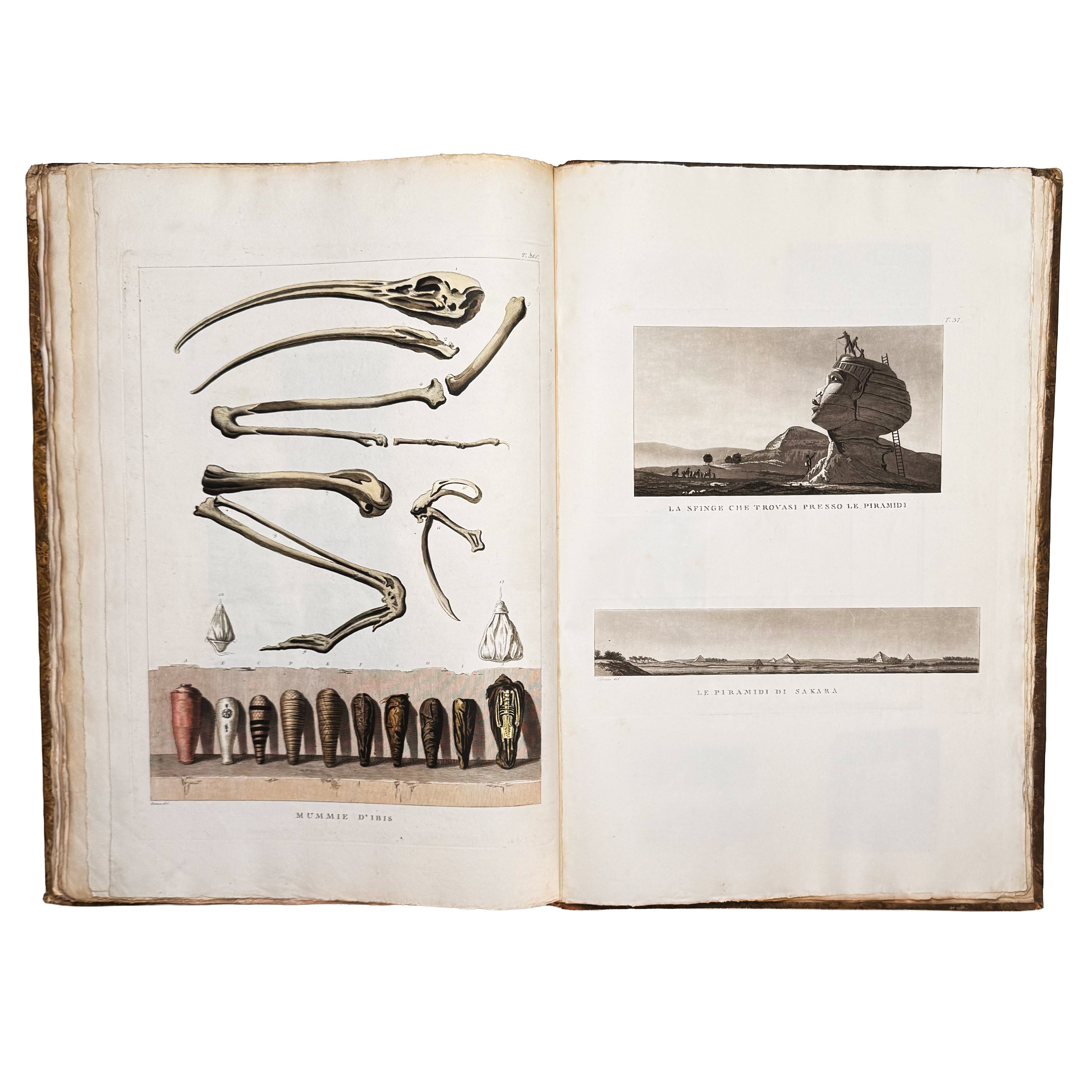 Atlante monumentale del Basso e dell'Alto Egitto by Segato, Girolamo; Valeriani, Domenico: a delicate visual nuance of the 1837 illustrated wonders edition