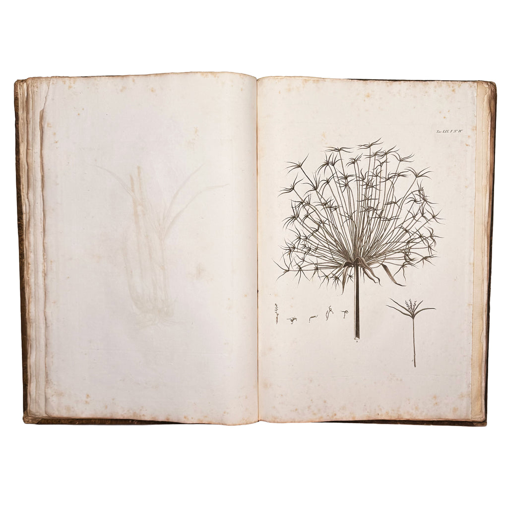 Atlante monumentale del Basso e dell'Alto Egitto by Segato, Girolamo; Valeriani, Domenico: an uncommon representative view of the 1837 illustrated wonders treatise