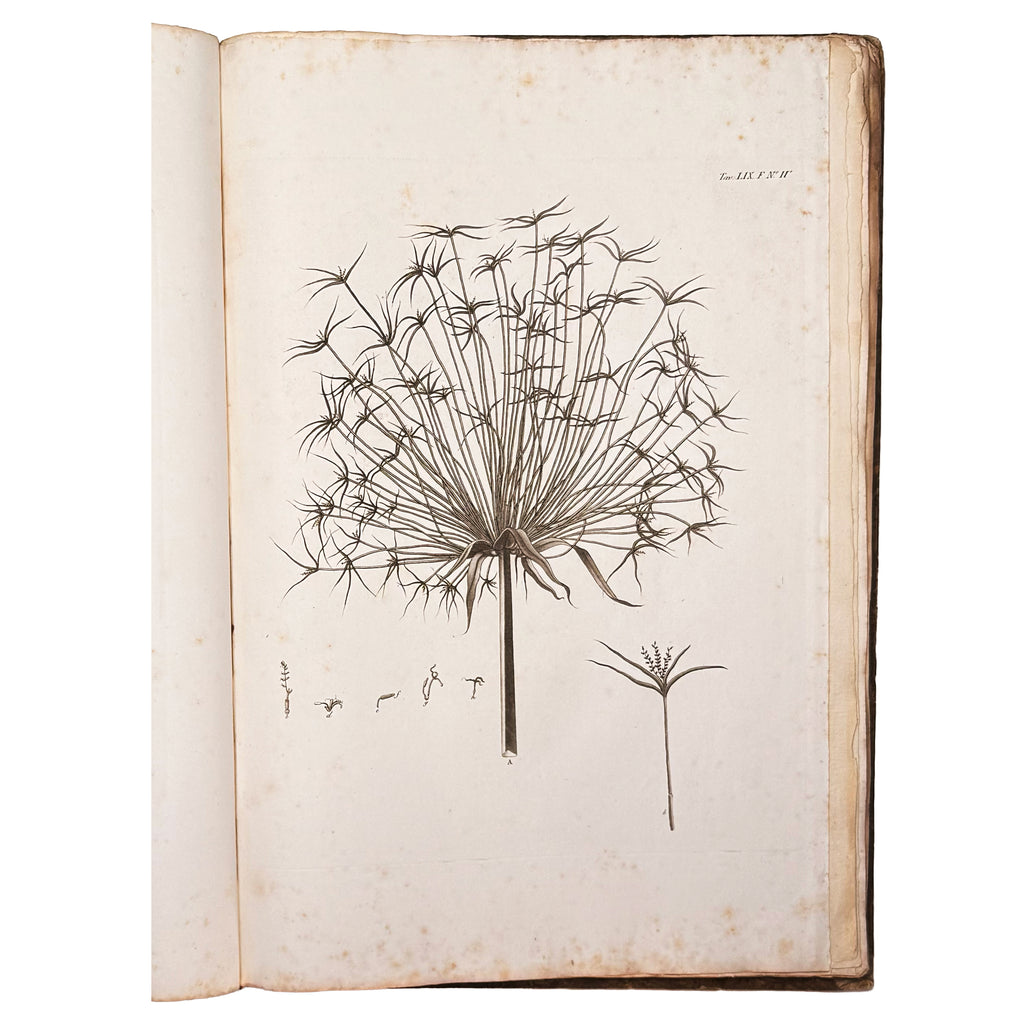 Atlante monumentale del Basso e dell'Alto Egitto by Segato, Girolamo; Valeriani, Domenico: an uncommon representative view of the 1837 illustrated wonders treatise