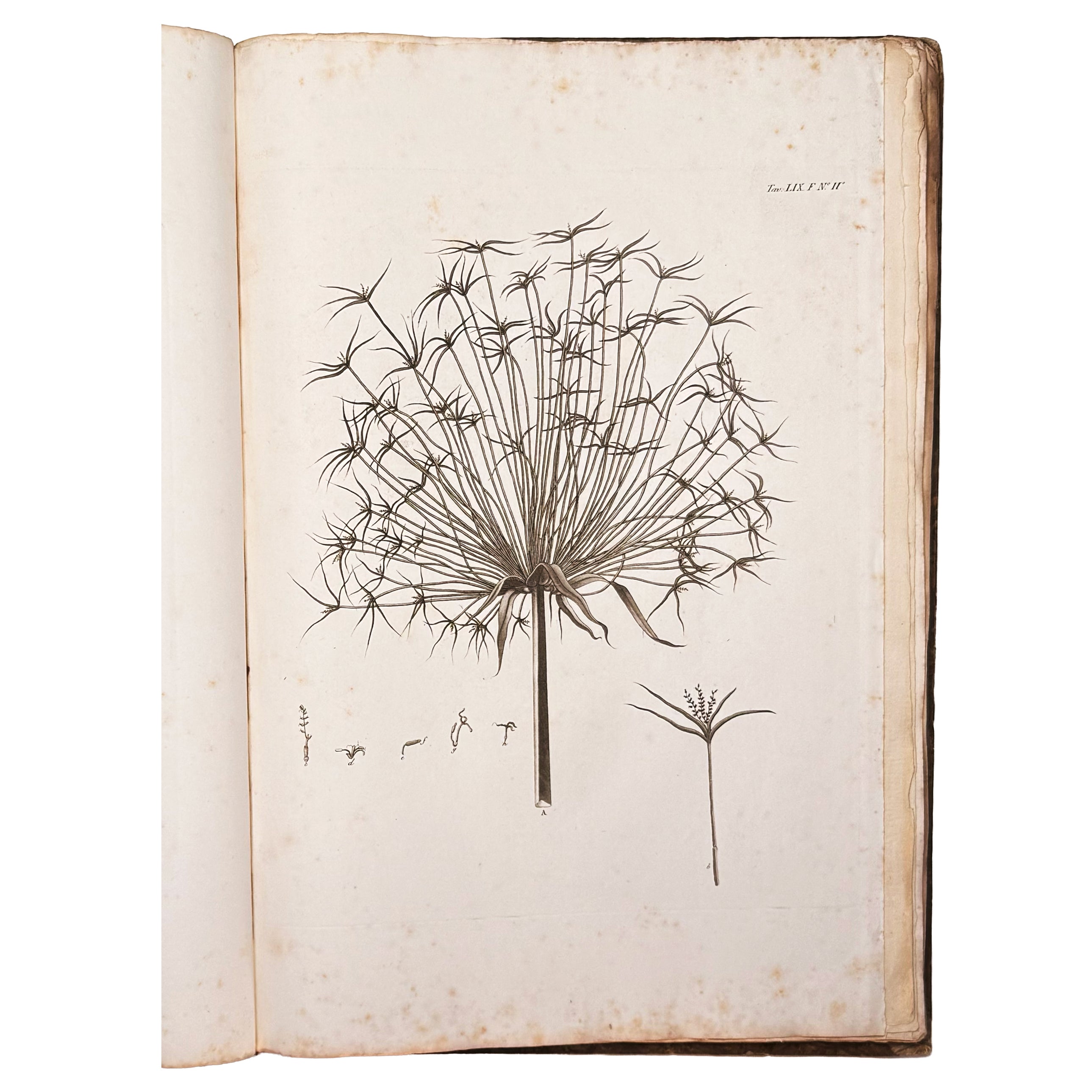 Atlante monumentale del Basso e dell'Alto Egitto by Segato, Girolamo; Valeriani, Domenico: an uncommon representative view of the 1837 illustrated wonders treatise