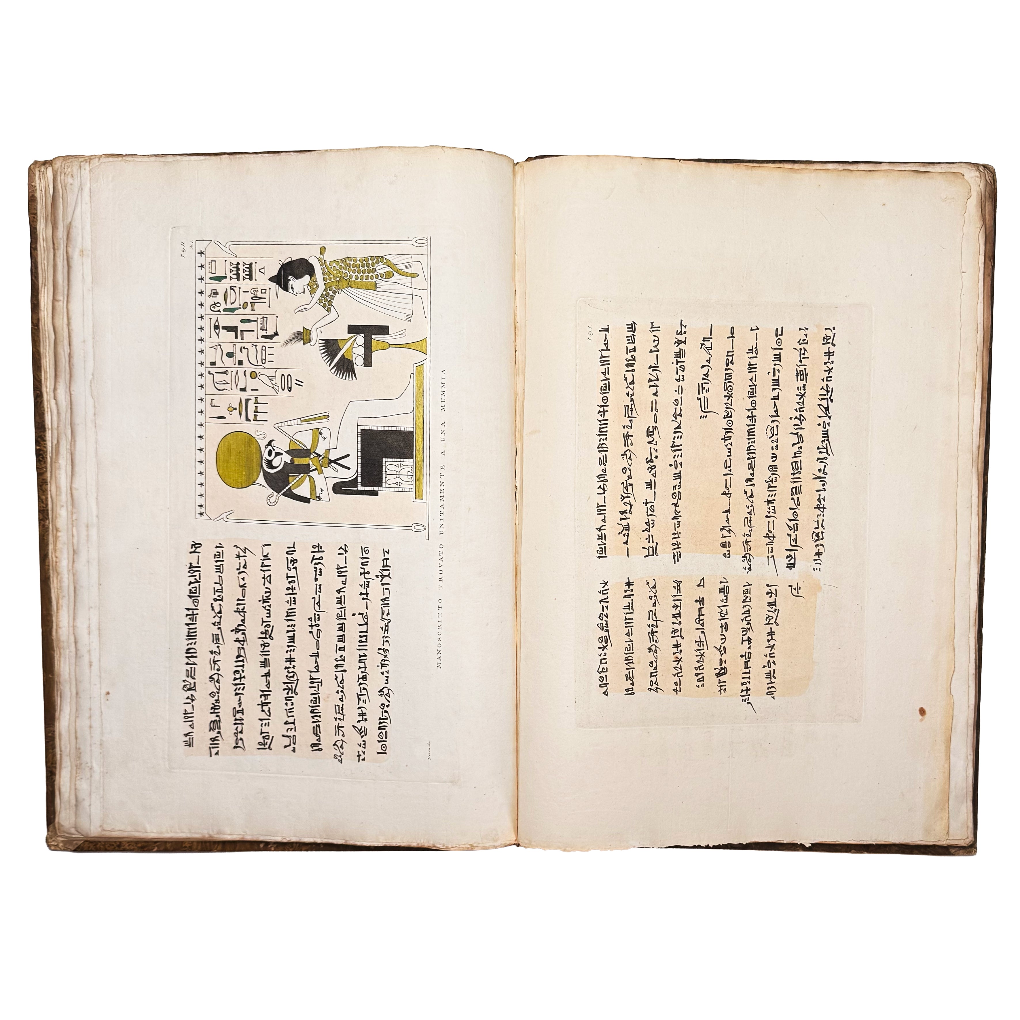 Atlante monumentale del Basso e dell'Alto Egitto by Segato, Girolamo; Valeriani, Domenico: an exceptional example from the 1837 illustrated wonders text