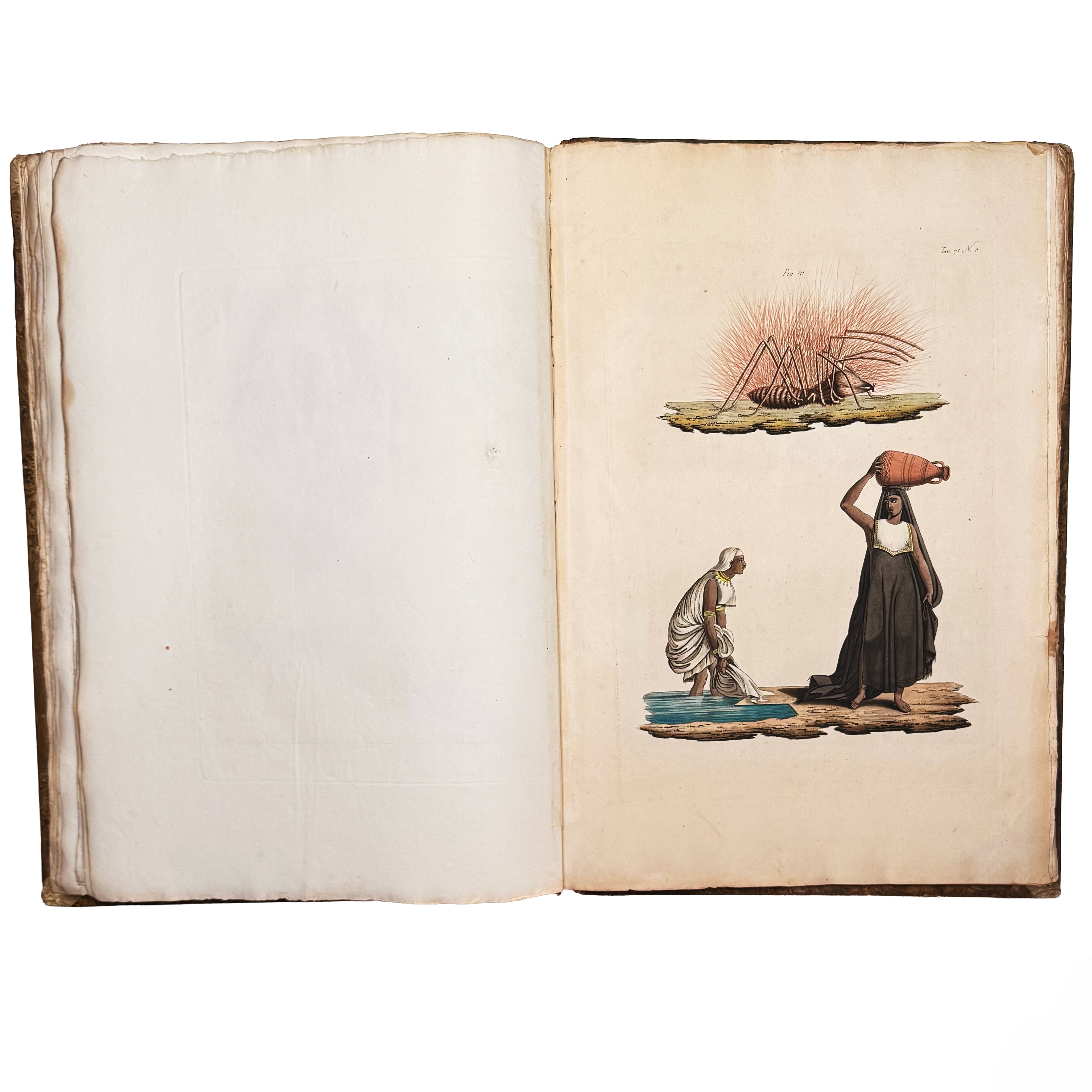 Atlante monumentale del Basso e dell'Alto Egitto by Segato, Girolamo; Valeriani, Domenico: a singularly preserved detail from the 1837 illustrated wonders copy