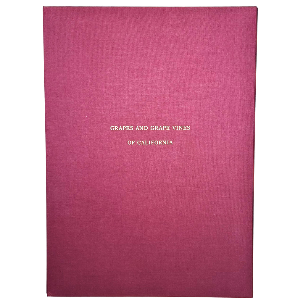 Grapes And Grape Vines Of California by Bosqui, Edward: a finely preserved portion of the 1980 (1877) wine & viticulture exemplar