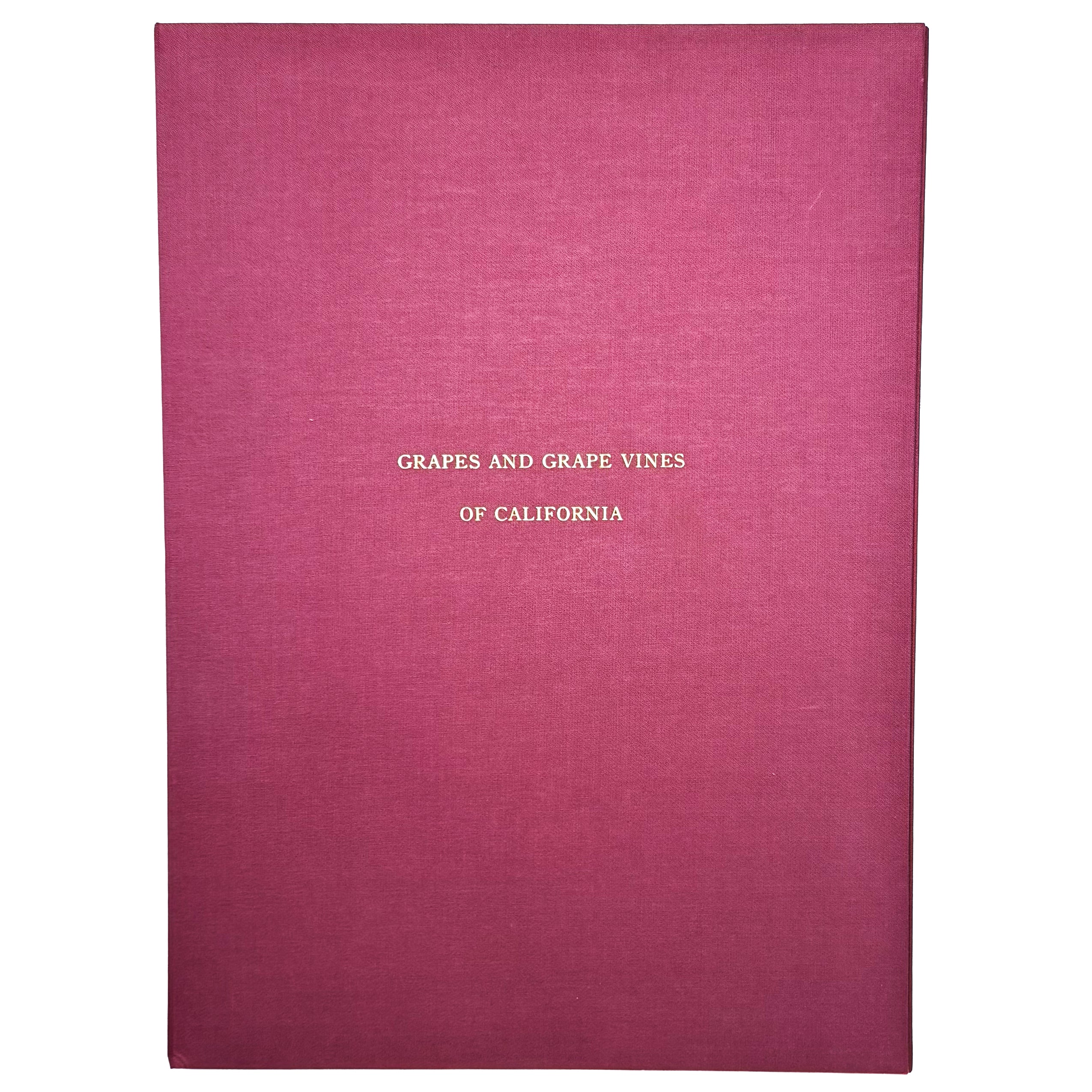Grapes And Grape Vines Of California by Bosqui, Edward: a finely preserved portion of the 1980 (1877) wine & viticulture exemplar