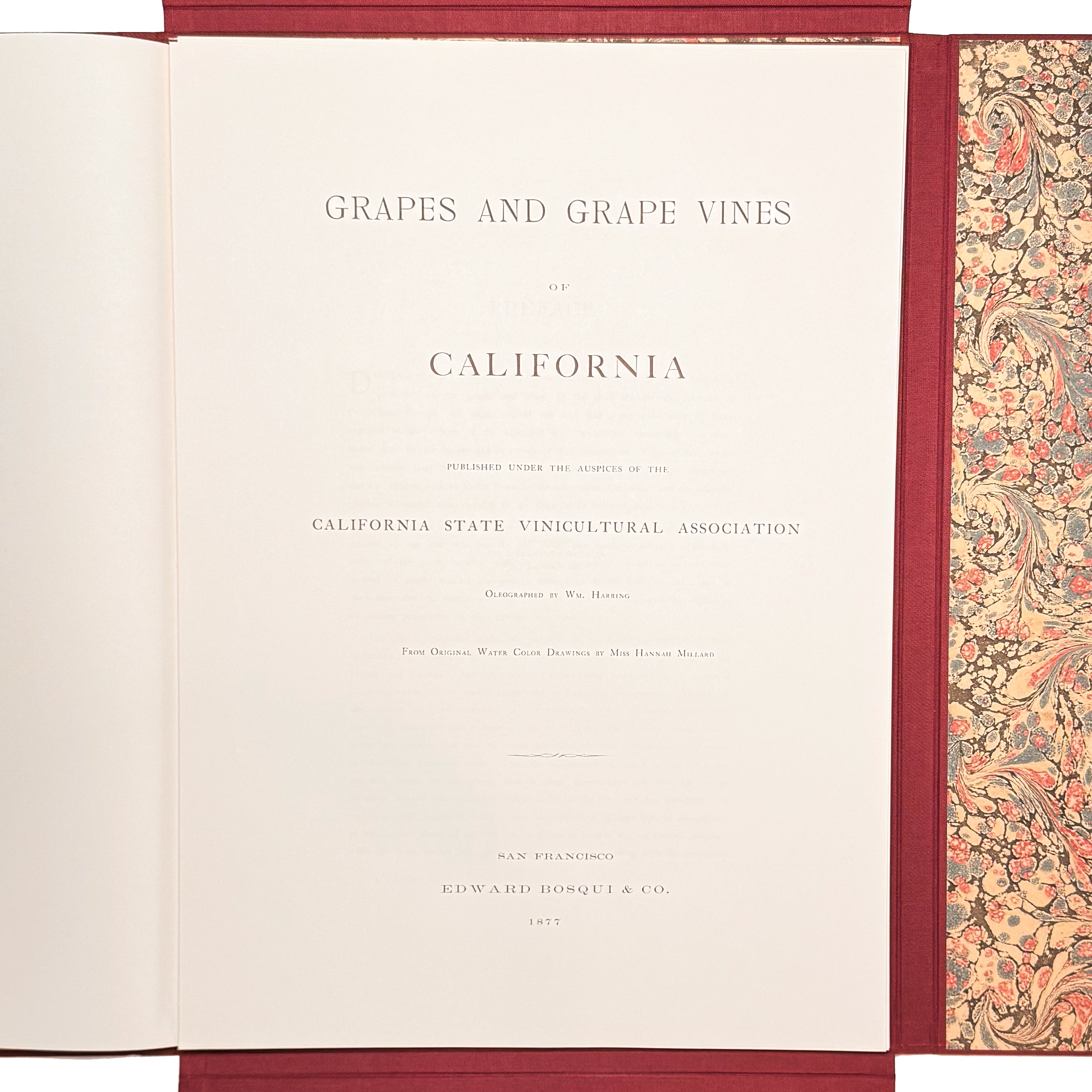 Grapes And Grape Vines Of California by Bosqui, Edward: a selected plate showing the 1980 (1877) wine & viticulture publication