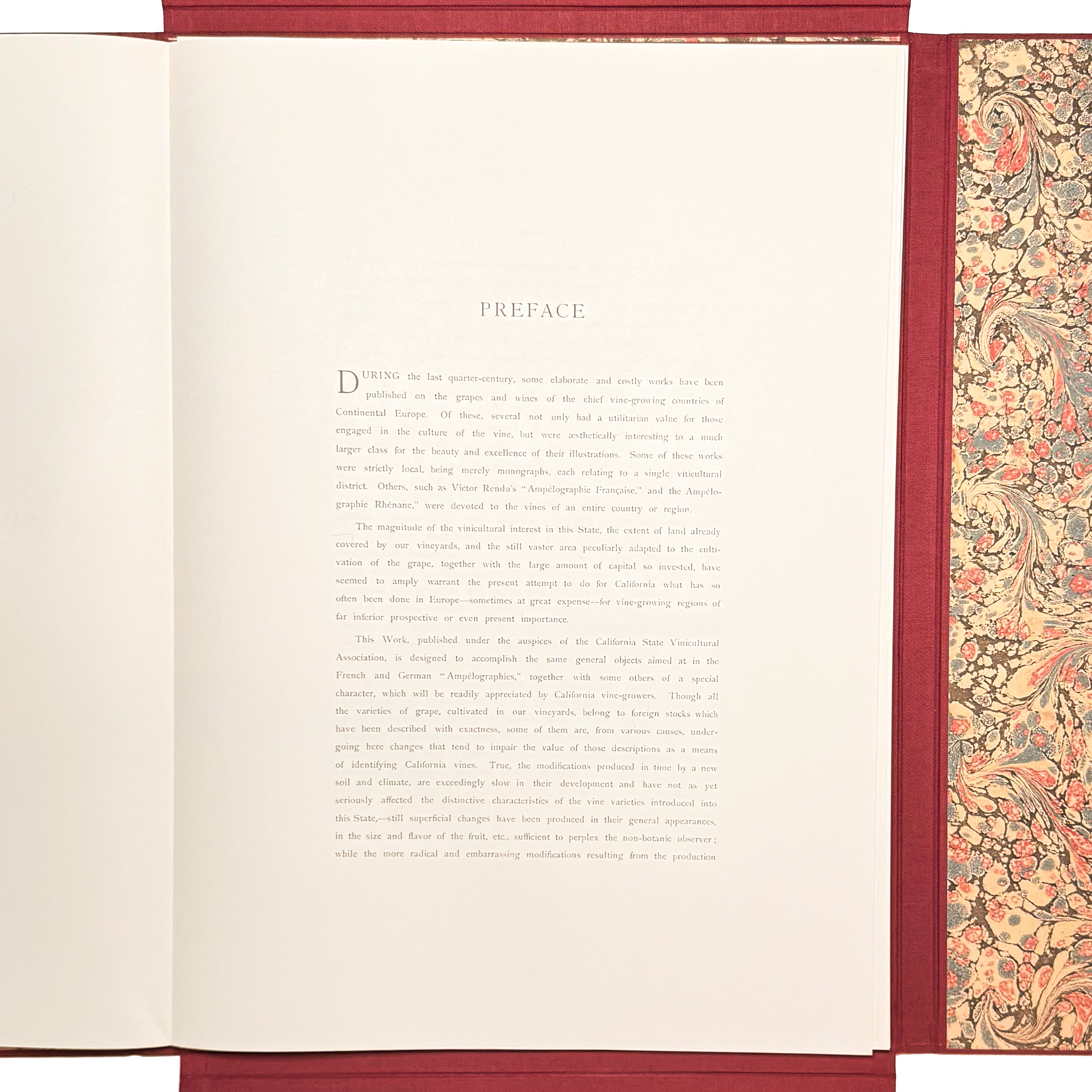 Grapes And Grape Vines Of California by Bosqui, Edward: a scarce visual specimen of the 1980 (1877) wine & viticulture work