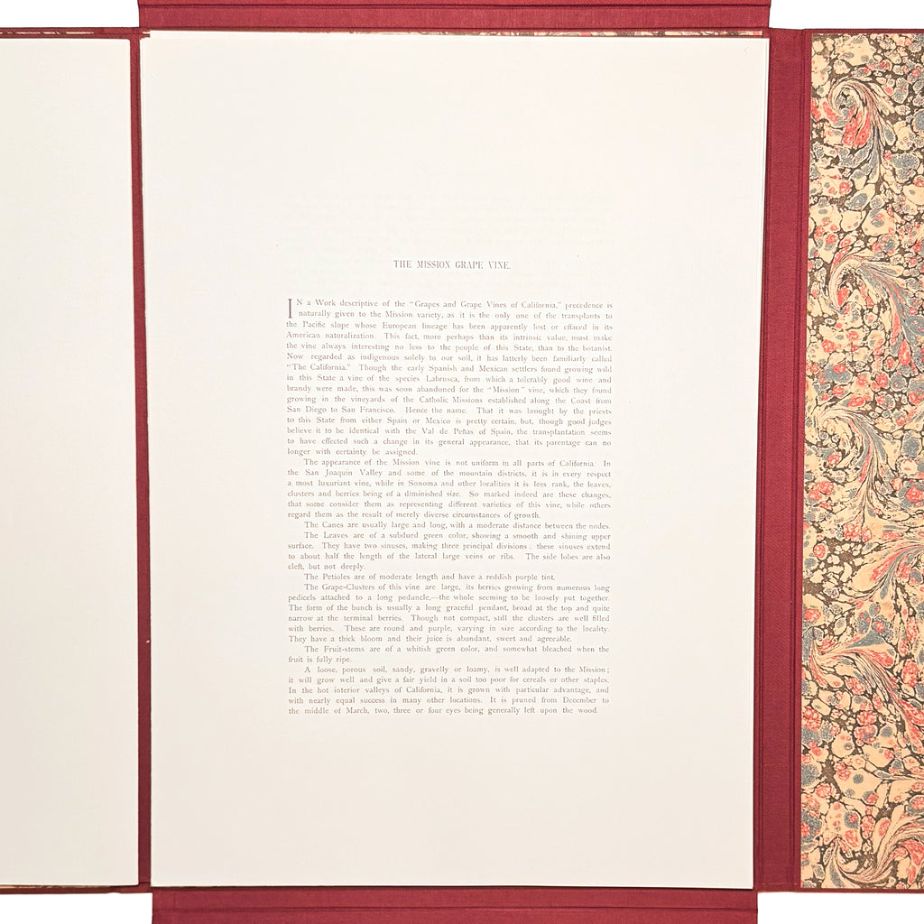 Grapes And Grape Vines Of California by Bosqui, Edward: a precious visual instance of the 1980 (1877) wine & viticulture text