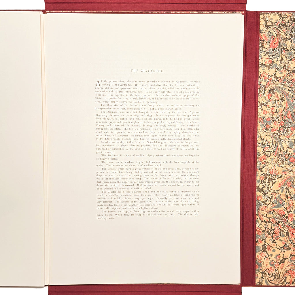 Grapes And Grape Vines Of California by Bosqui, Edward: a delicate visual nuance of the 1980 (1877) wine & viticulture exemplar