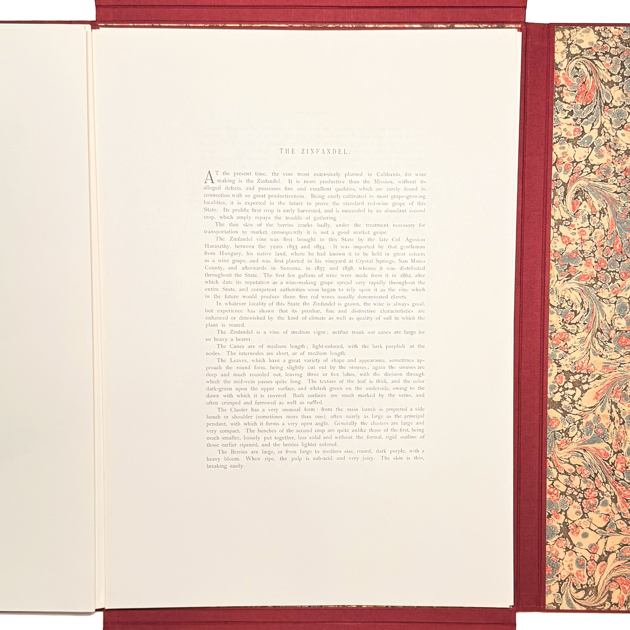 Grapes And Grape Vines Of California by Bosqui, Edward: a delicate visual nuance of the 1980 (1877) wine & viticulture exemplar