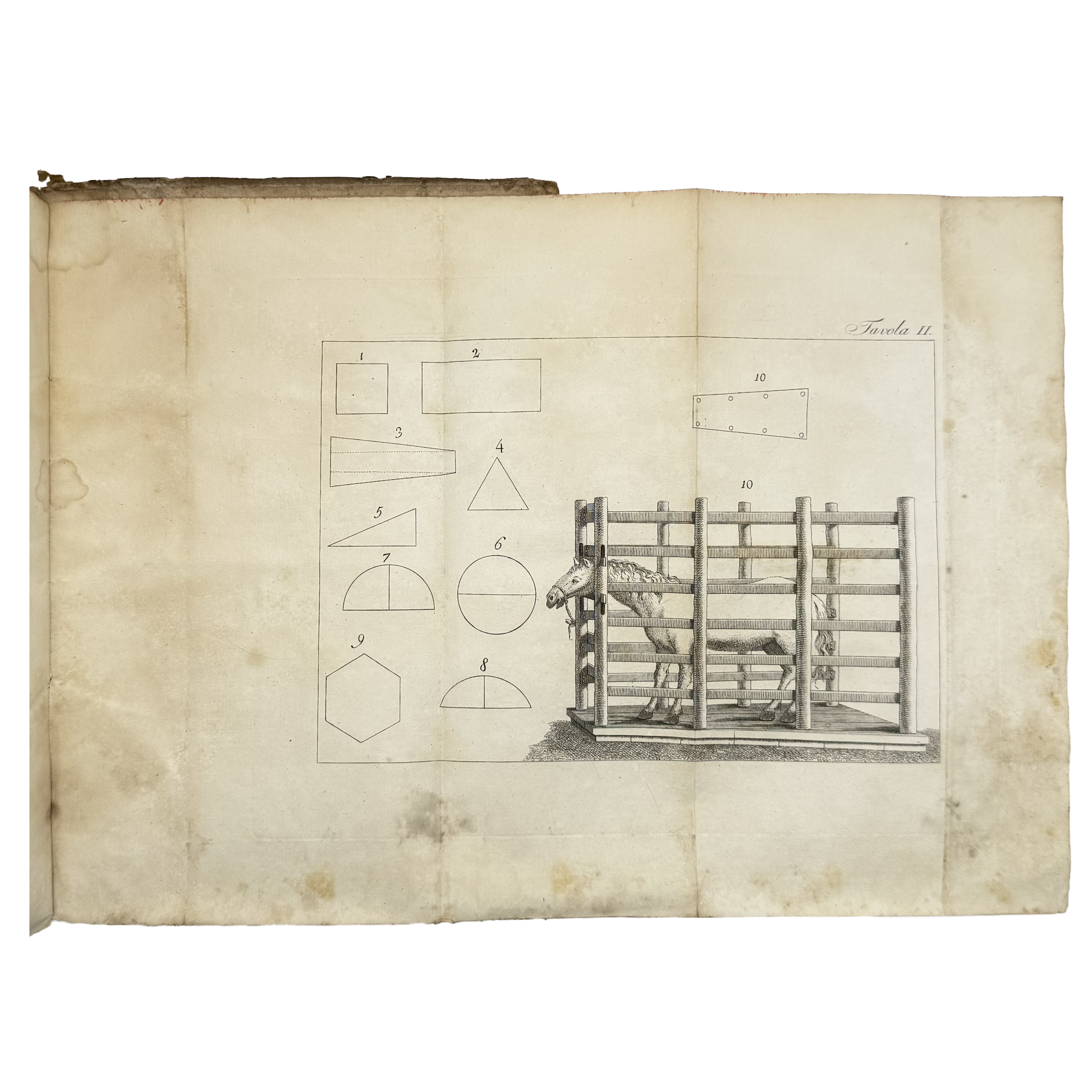 L'Agricoltura by Columella, Lucio Giunio Moderato, a rare illustrated detail of the 1808 - wine book.