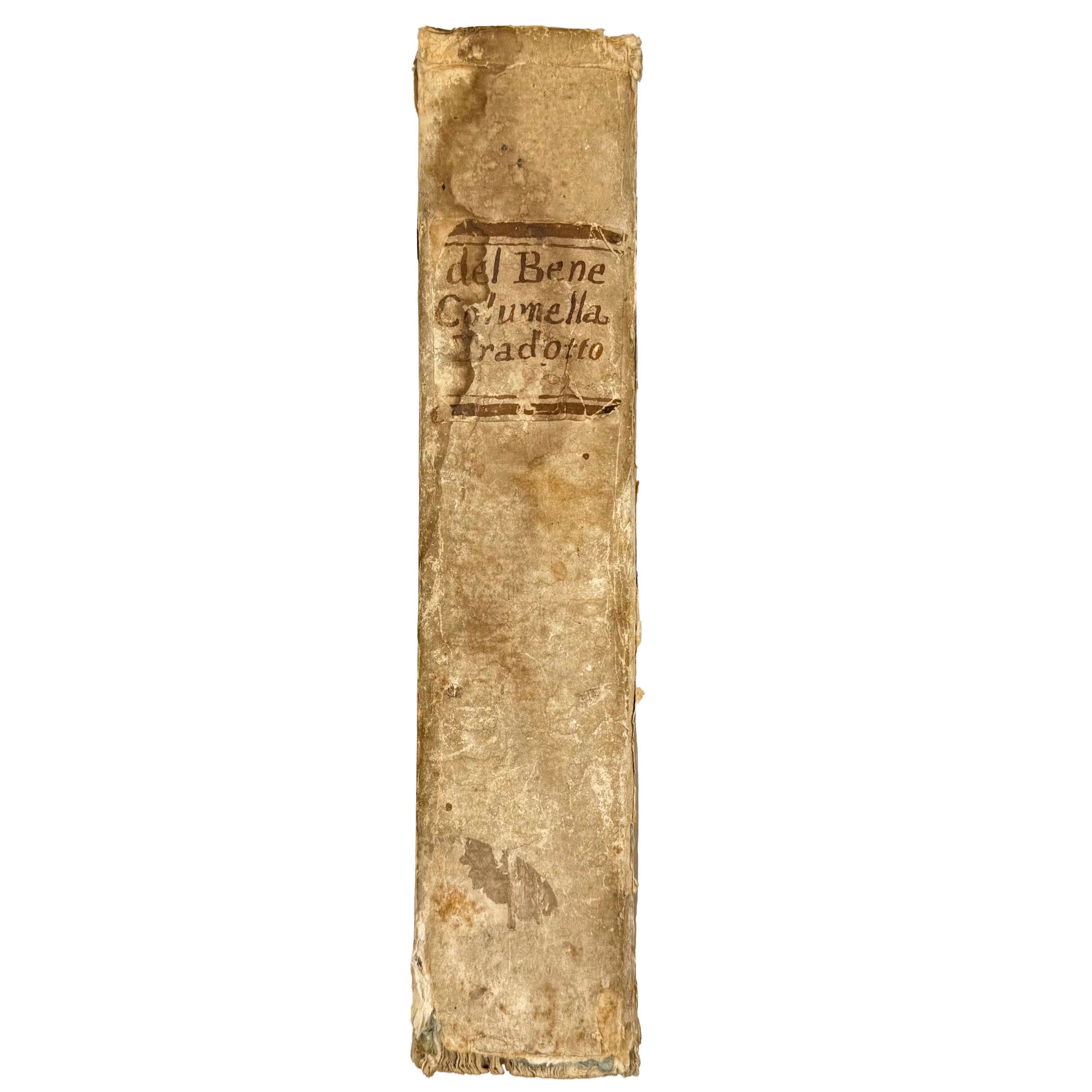 L'Agricoltura by Columella, Lucio Giunio Moderato, a rare interesting detail of the 1808 - wine book.