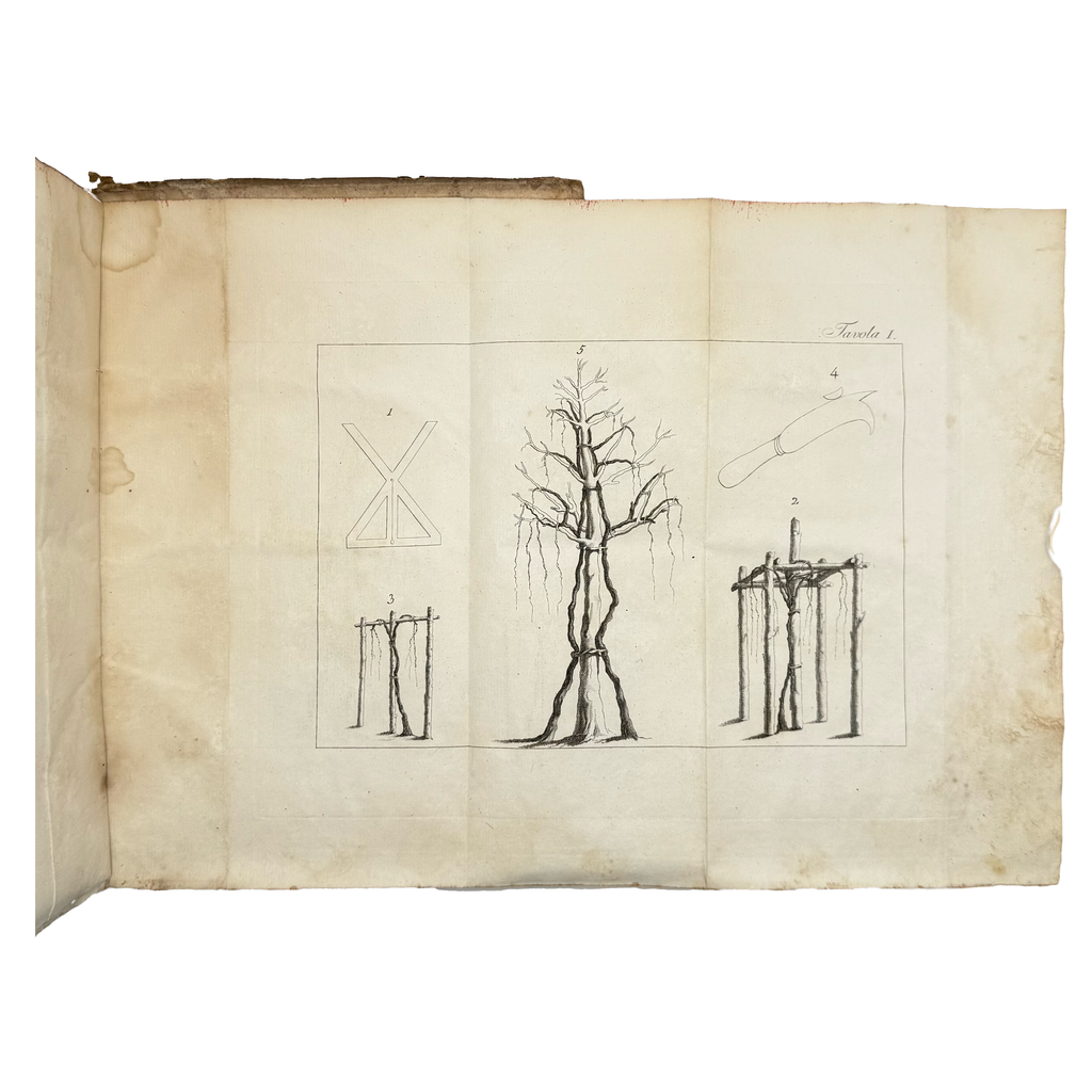 L'Agricoltura by Columella, Lucio Giunio Moderato, a rare image of the 1808 - wine book.
