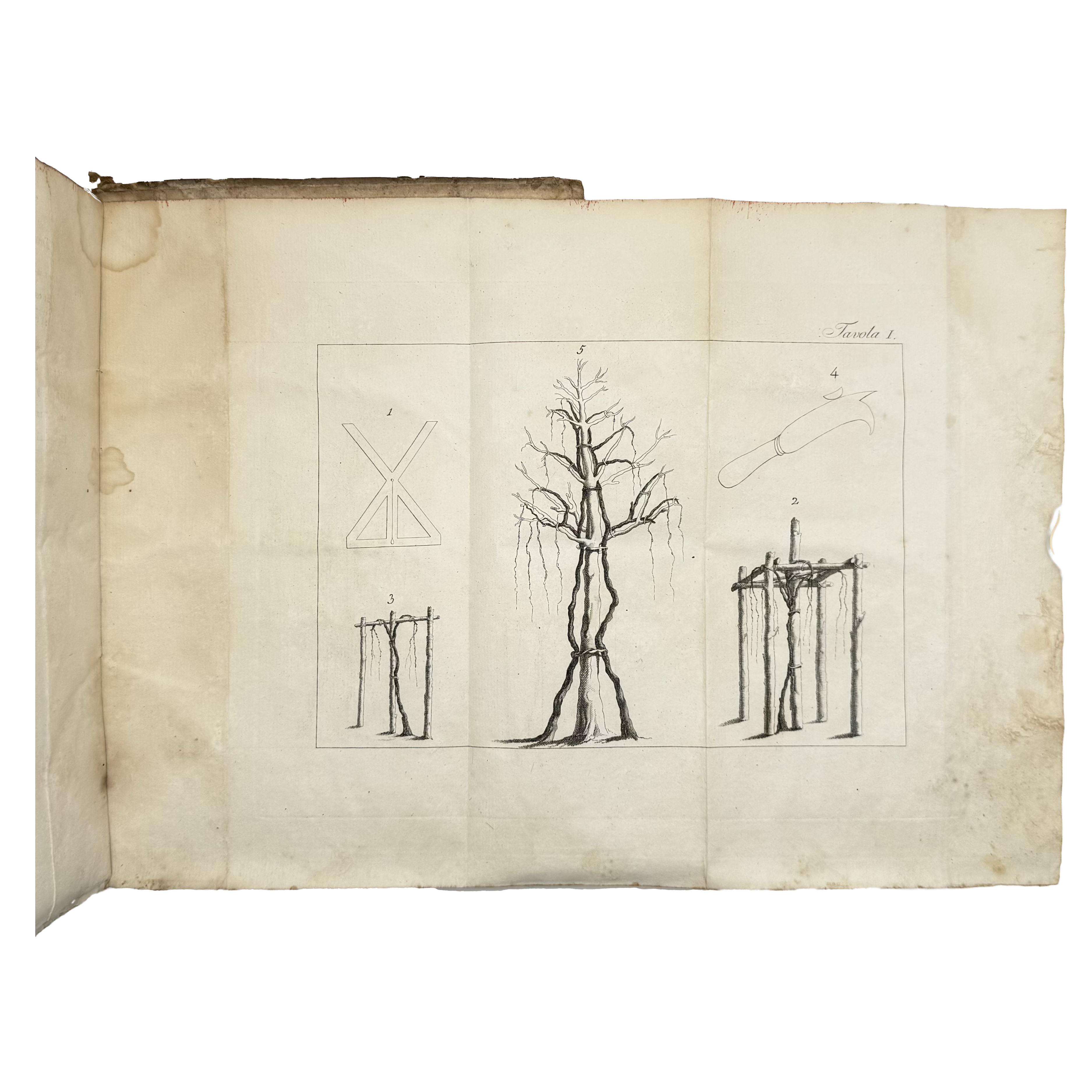 L'Agricoltura by Columella, Lucio Giunio Moderato, a rare image of the 1808 - wine book.