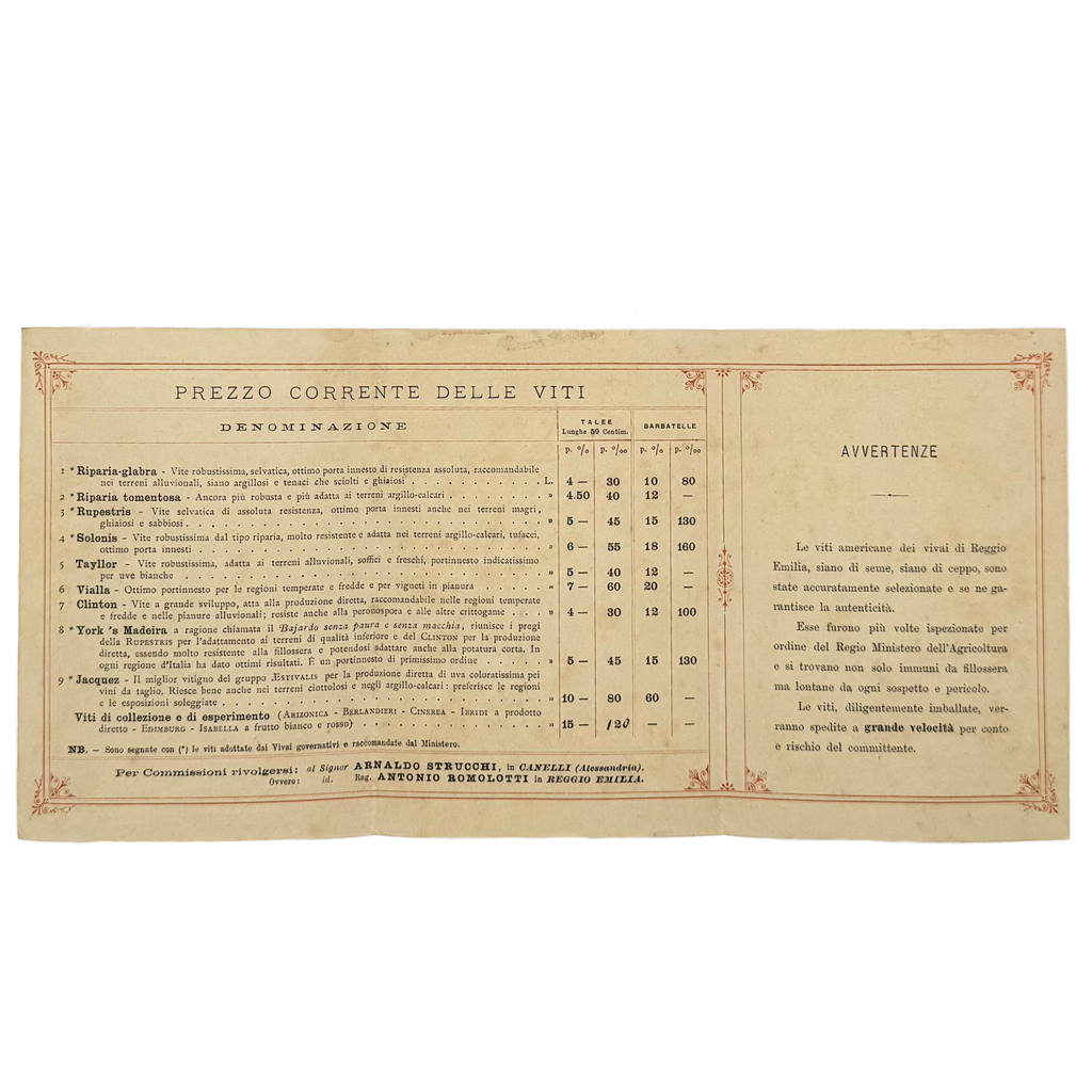 Vivai Di Viti Americane by Strucchi, Arnaldo, a rare example from the work of the 1930 - wine book.