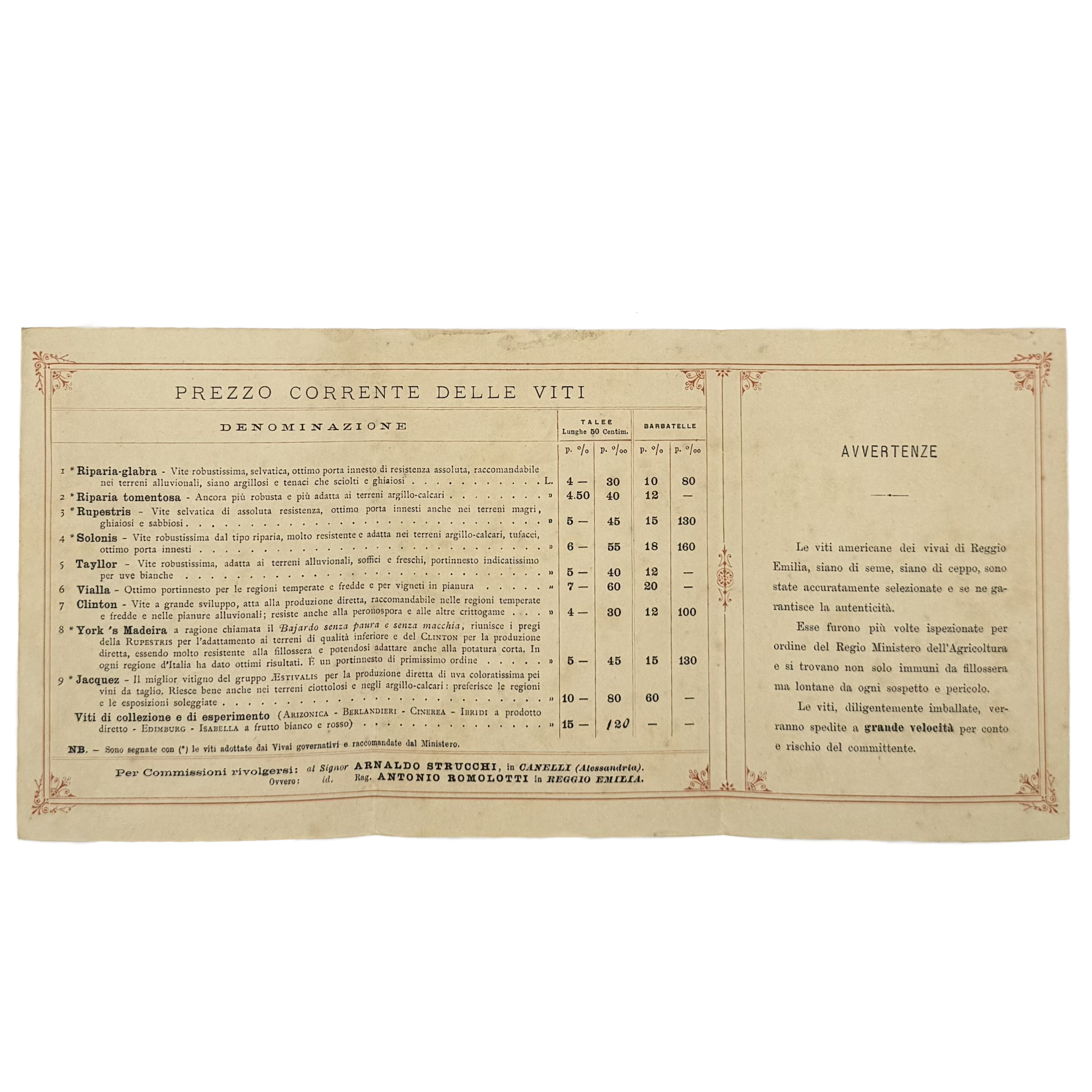 Vivai Di Viti Americane by Strucchi, Arnaldo, a rare example from the work of the 1930 - wine book.