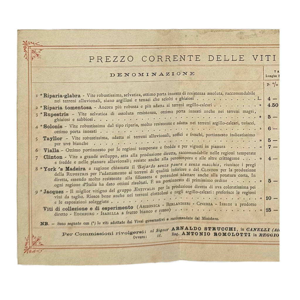 Vivai Di Viti Americane by Strucchi, Arnaldo, a rare photograph of the 1930 - wine book.