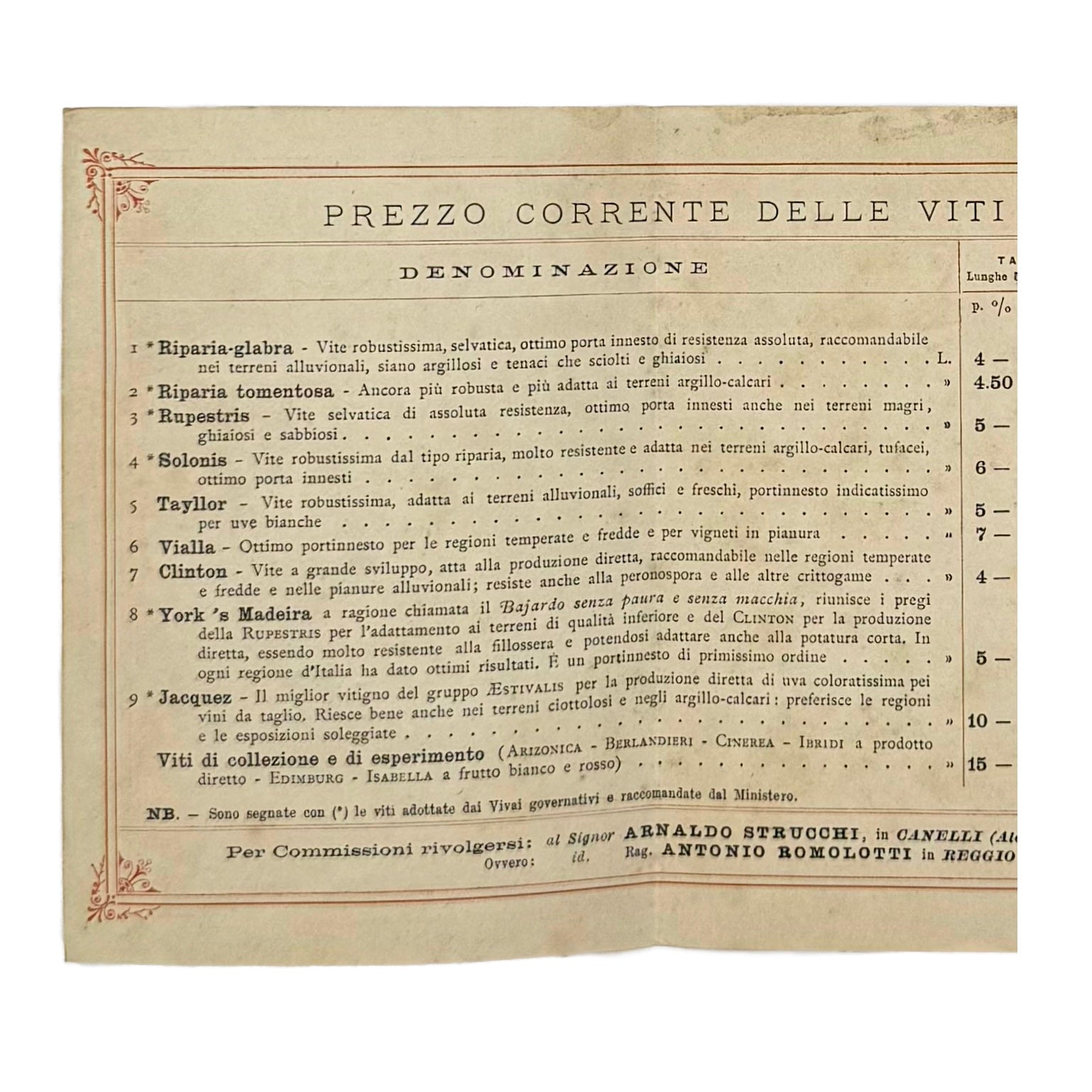 Vivai Di Viti Americane by Strucchi, Arnaldo, a rare photograph of the 1930 - wine book.