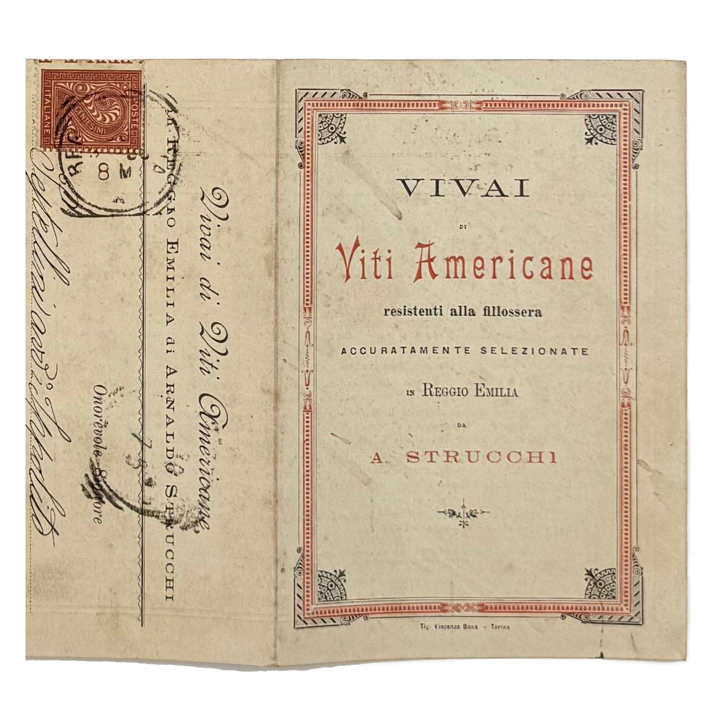 Vivai Di Viti Americane by Strucchi, Arnaldo, a rare view of the 1930 - wine book.