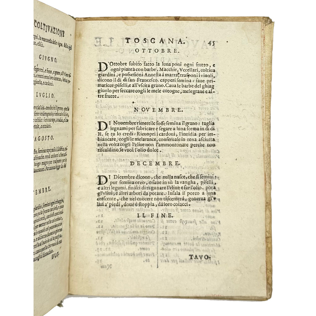 Trattato Della Coltivazione Delle Viti by Soderini, Gioanvettorio; Davanzati Bostichi, Bernardo, a rare photograph of the 1610 - wine book.