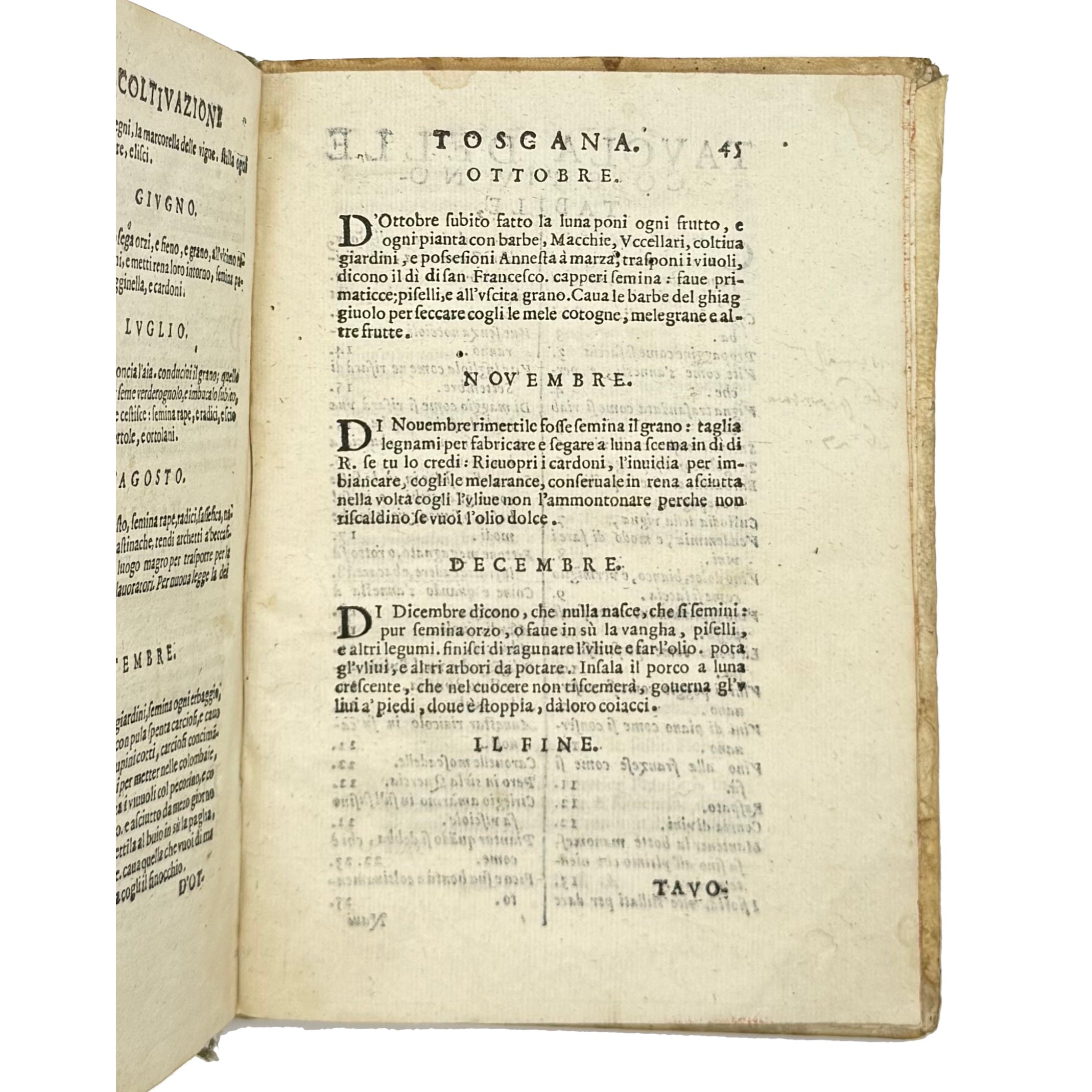 Trattato Della Coltivazione Delle Viti by Soderini, Gioanvettorio; Davanzati Bostichi, Bernardo, a rare photograph of the 1610 - wine book.