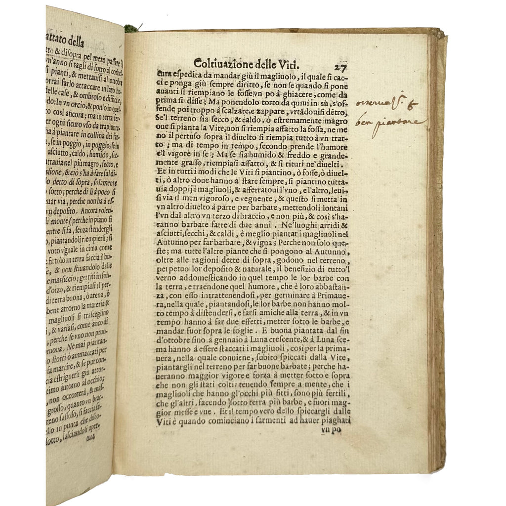Trattato Della Coltivazione Delle Viti by Soderini, Gioanvettorio; Davanzati Bostichi, Bernardo, a rare example image of the 1610 - wine book.